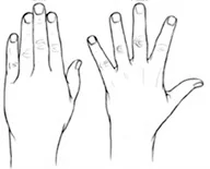 Figure 1: Finger abduction and adduction