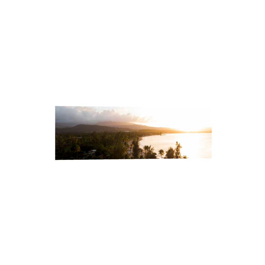ptq_1_2_0_444_3898_1299_0_false_ffffff_0_0_.png