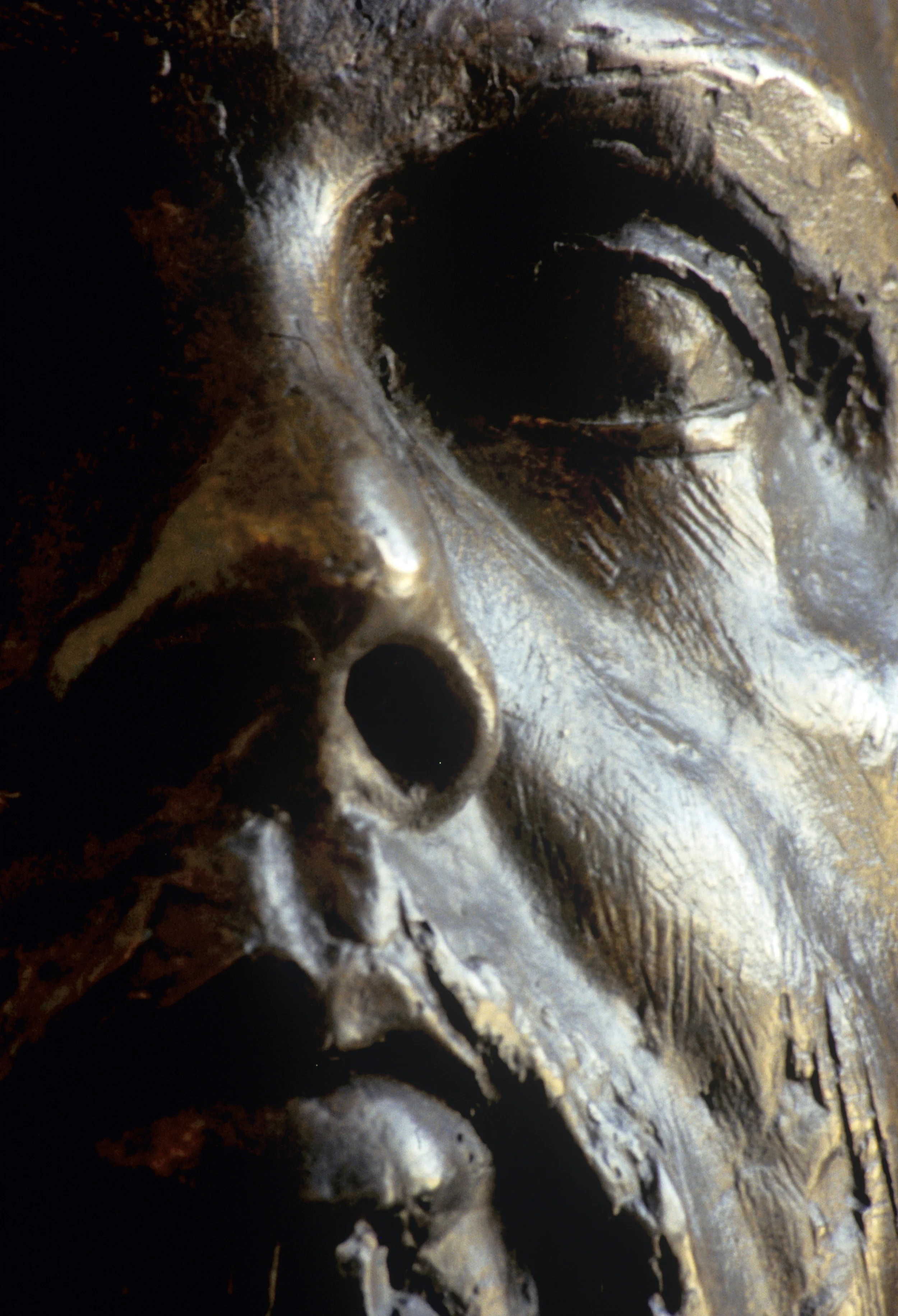 Image-011.jpg