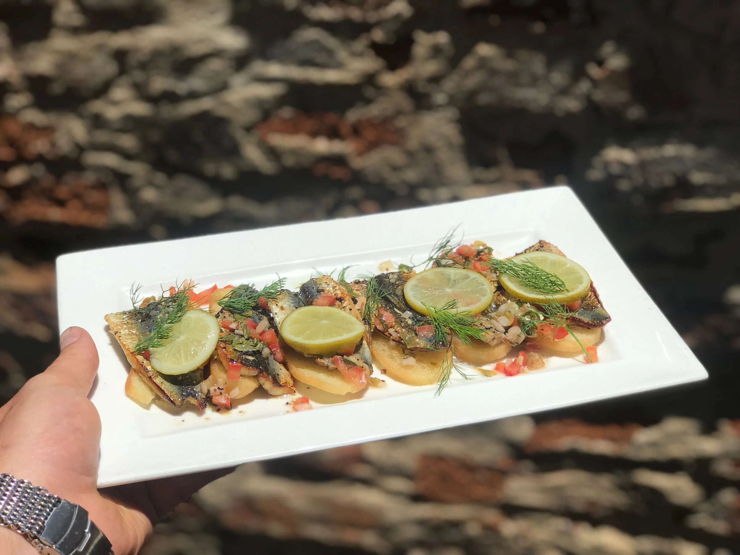 fremantle sardines sandrino.JPG