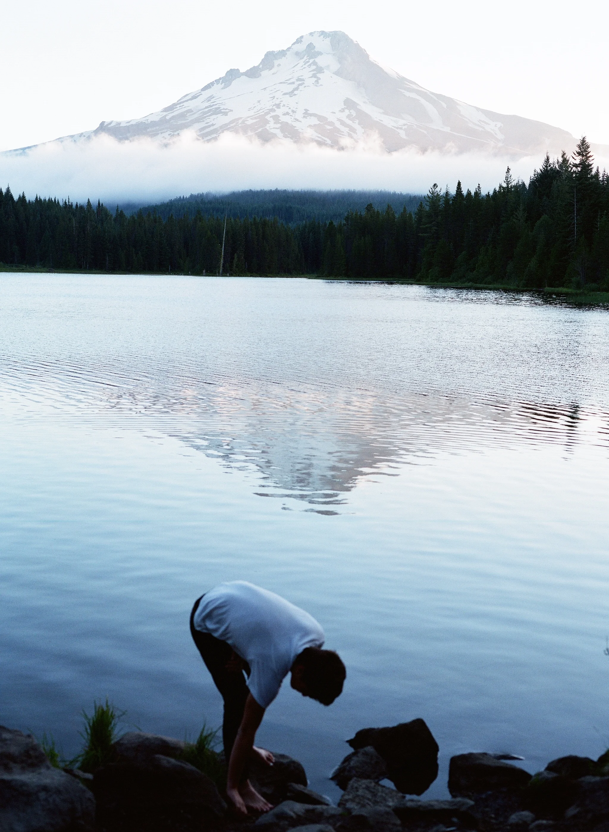 Joe, Trillium , 2014.