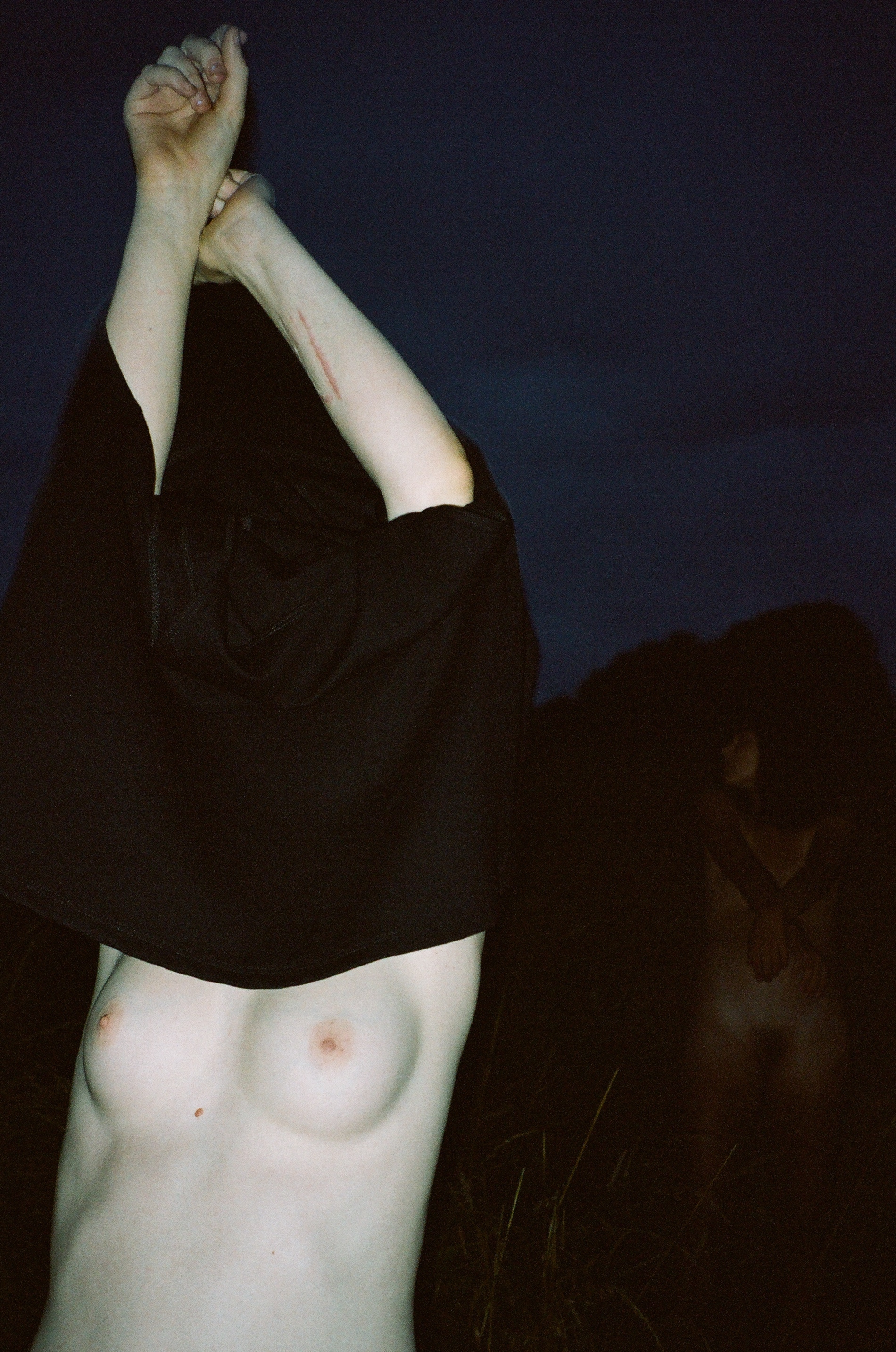 Molly, Swan Dive , 2014.