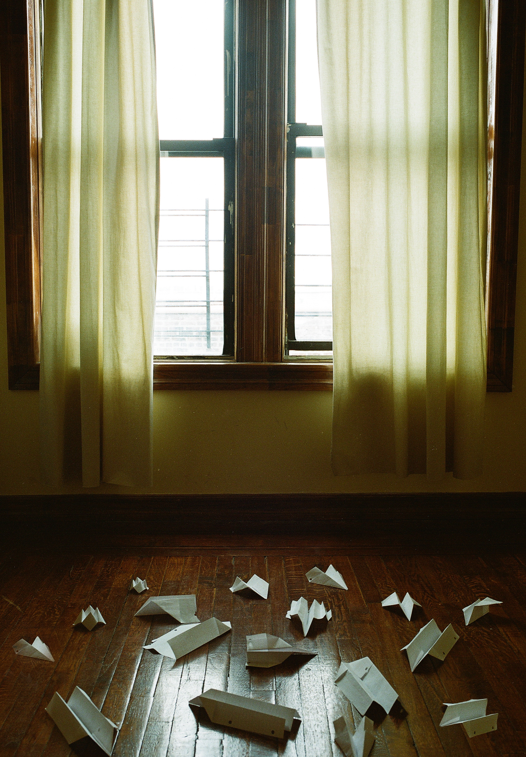 PaperPlanes2.jpg