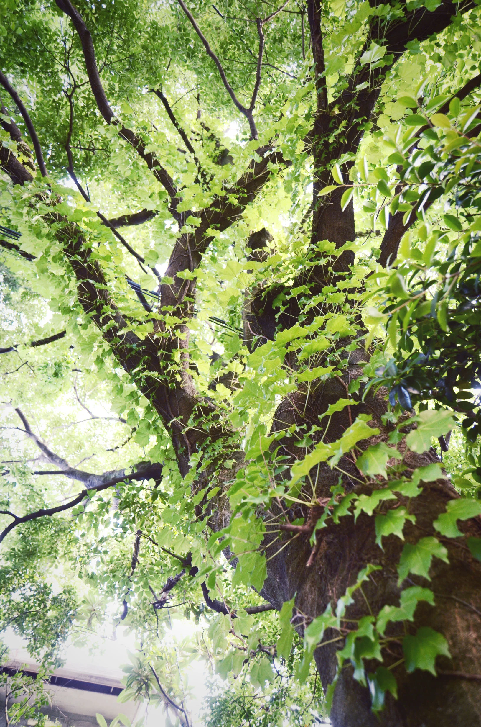 DSC_8061.jpg