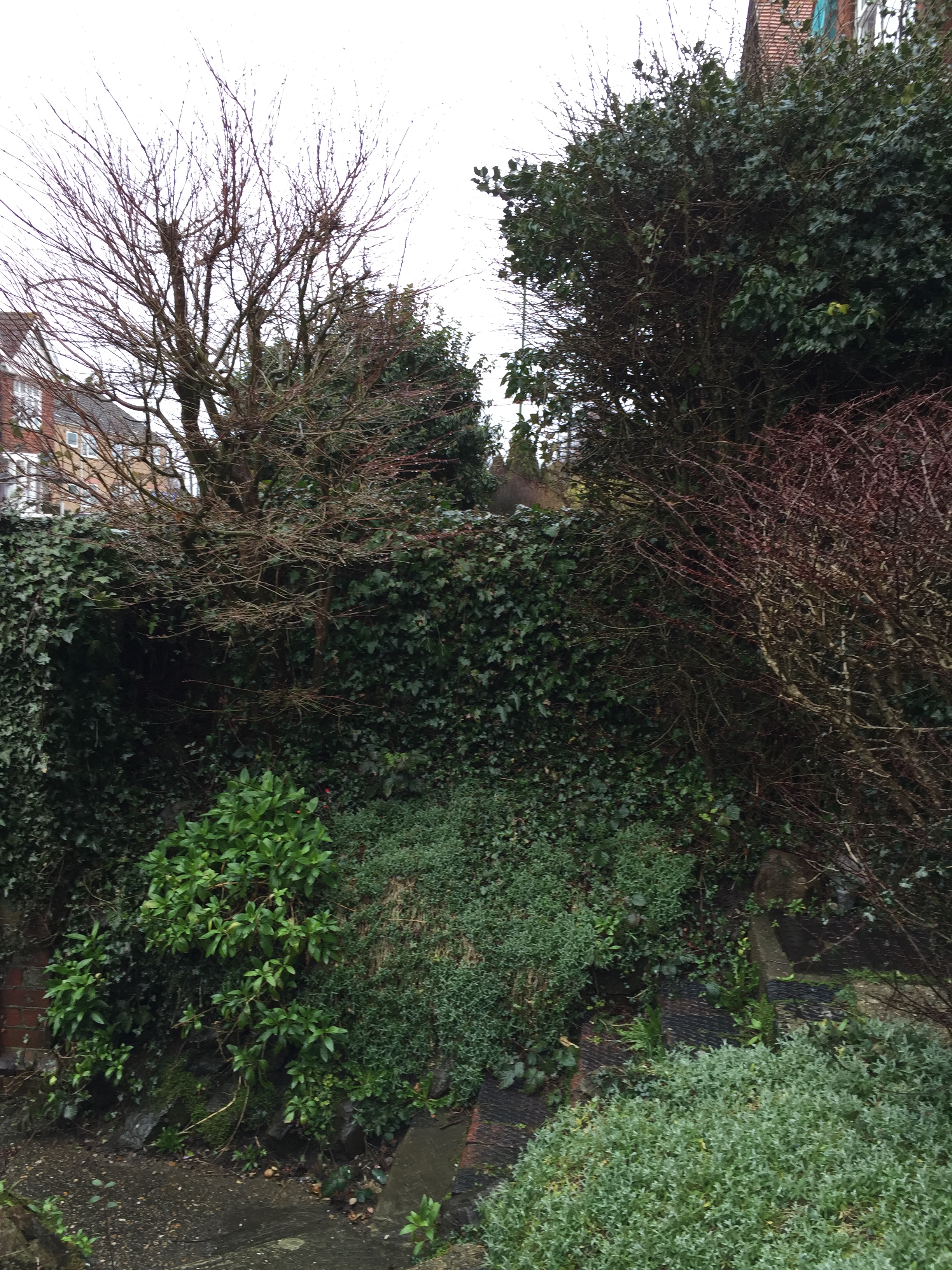 2015-03-26 08.22.26.jpg