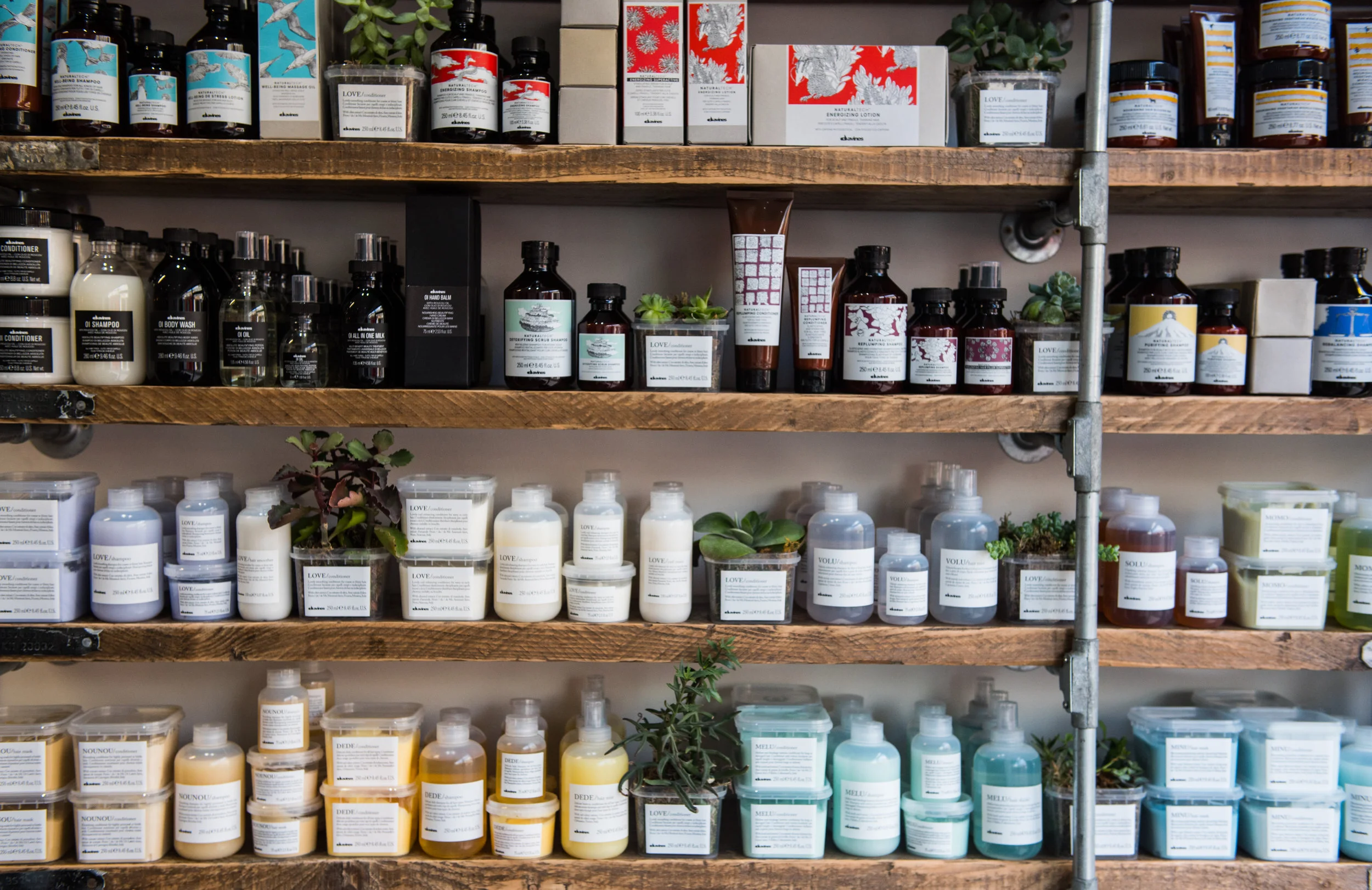 Seed Salon-9.jpg