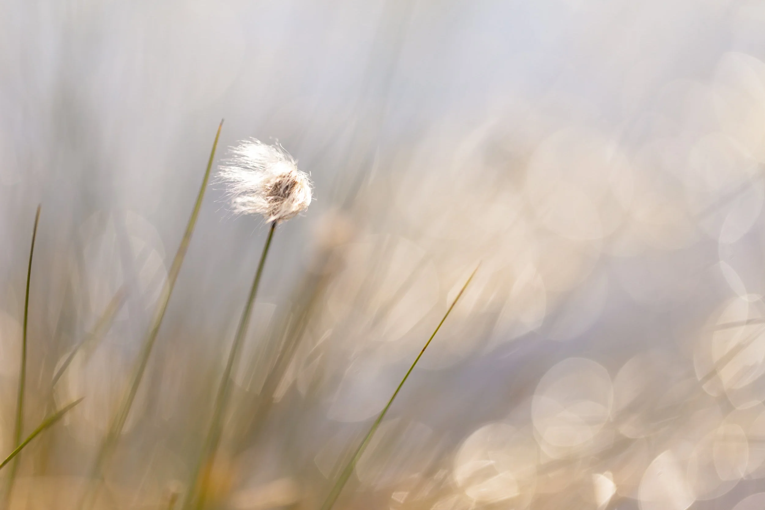 Gallery Images-44.jpg