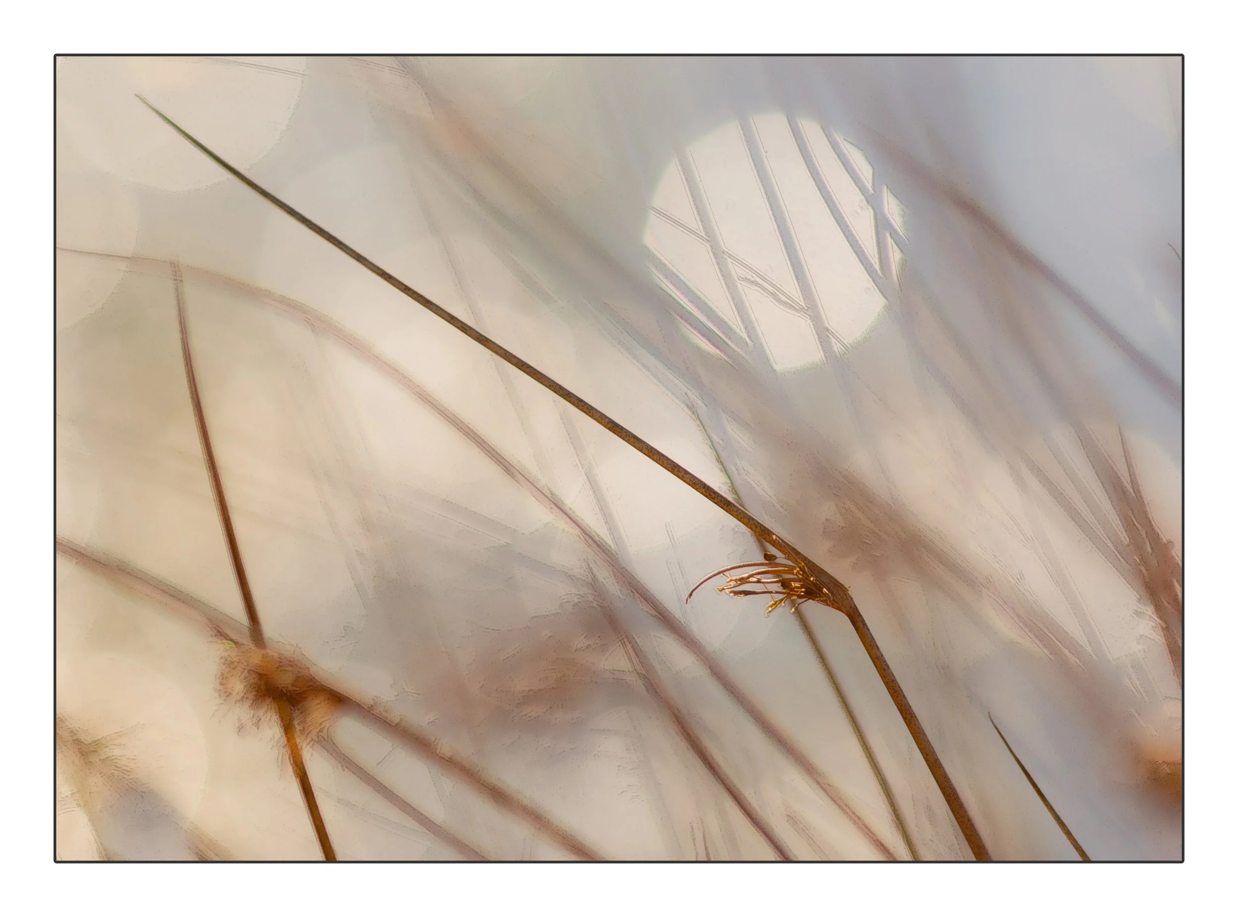 FrameElthe_2016_00149-Edit-2 copy.jpg
