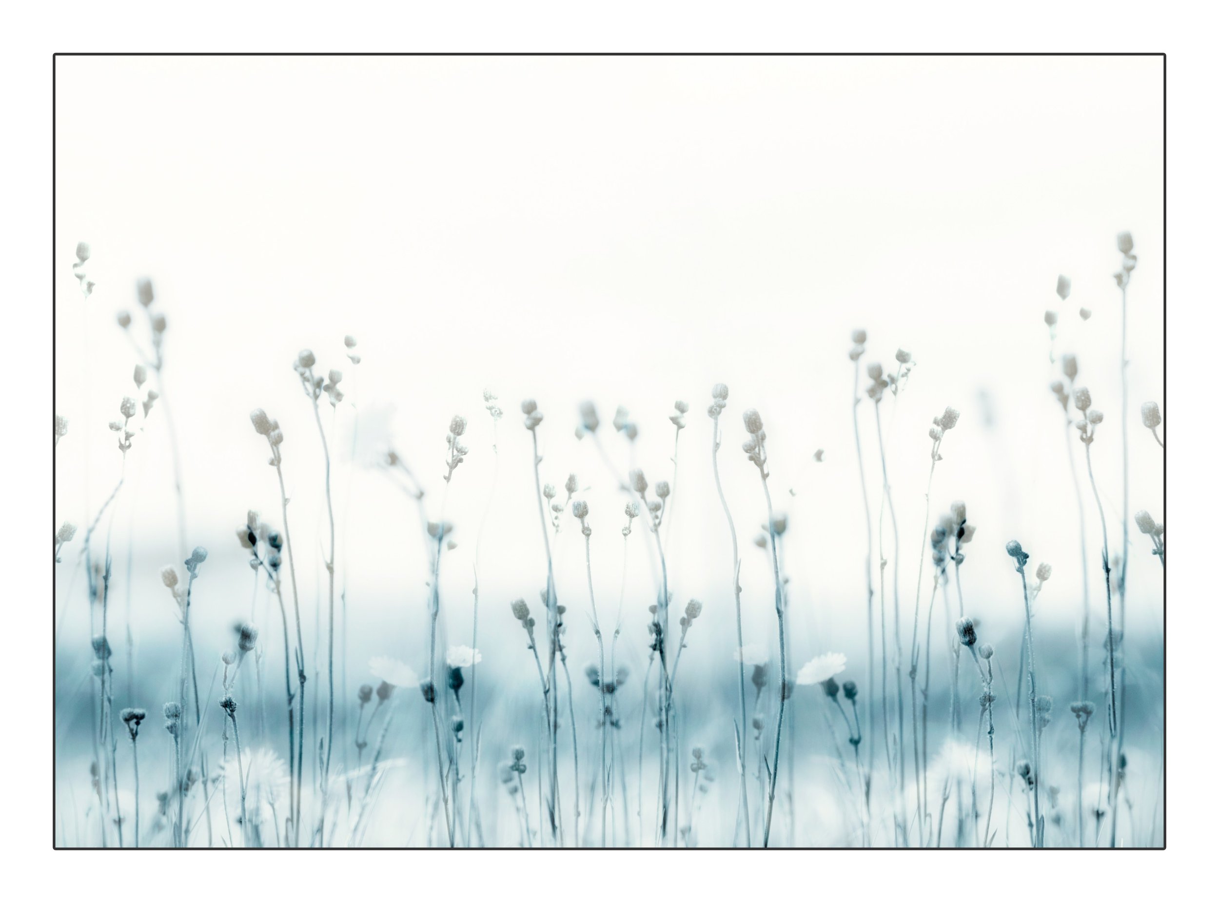 FrameElthe_2017_00022-Edit-2-Edit-Edit copy.jpg