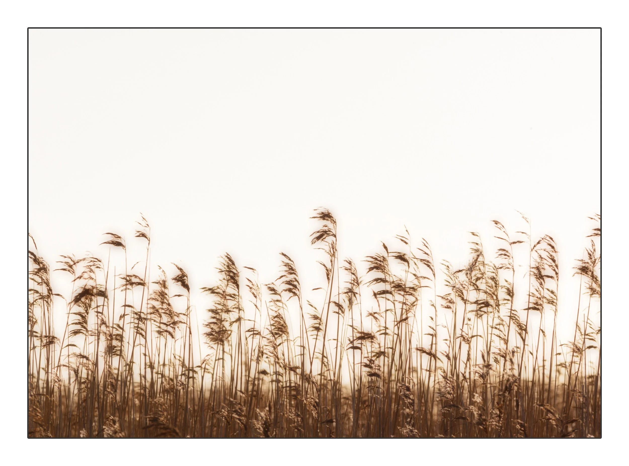 FrameElthe_2017_00023-Edit copy.jpg