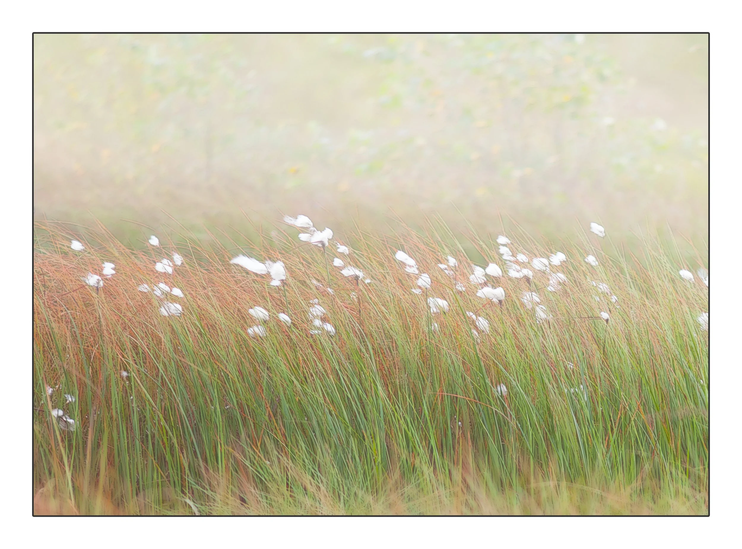 FrameElthe_2017_00038-Edit-Edit copy.jpg