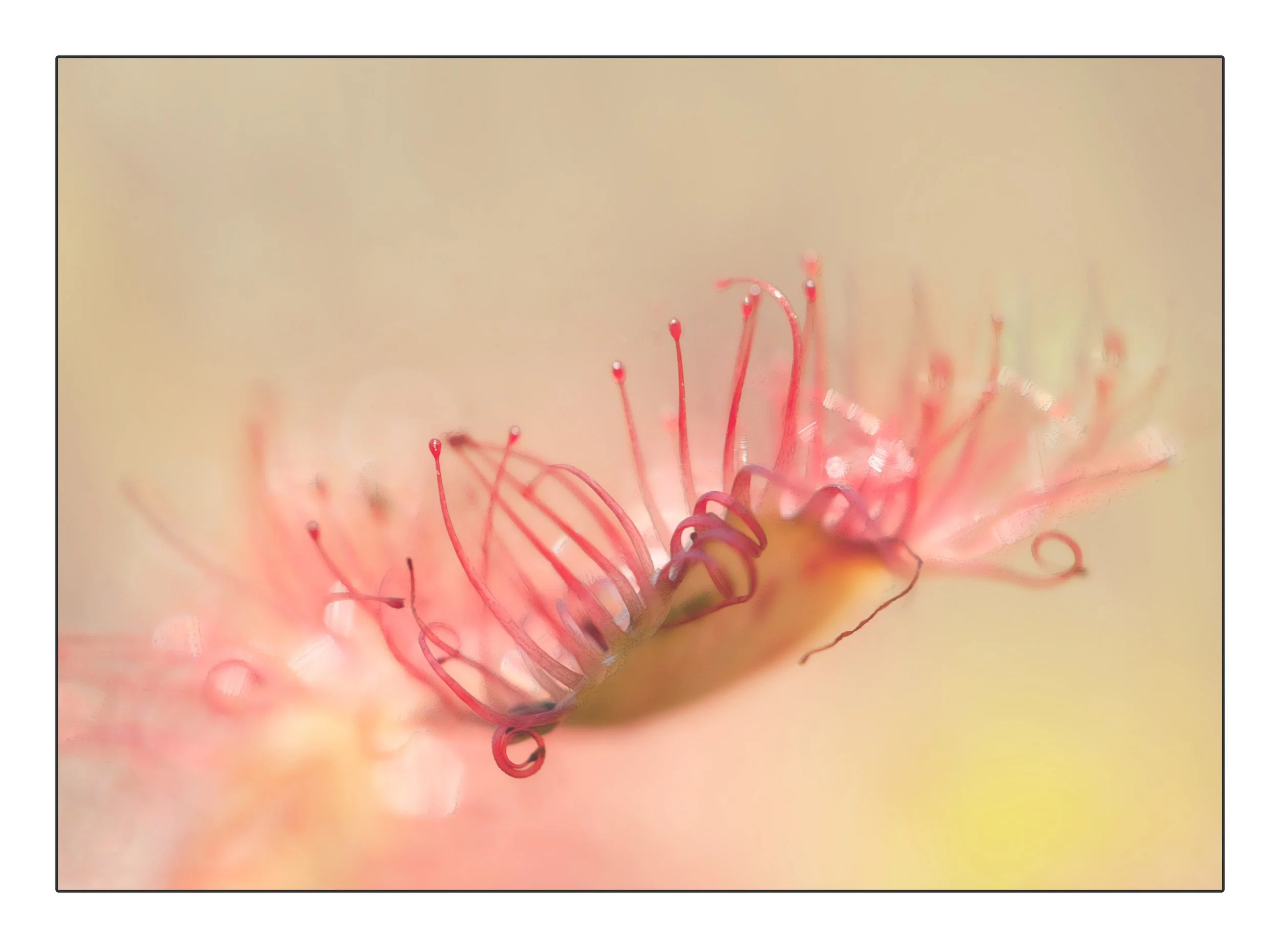 FrameElthe_2017_00042-3-Edit copy.jpg