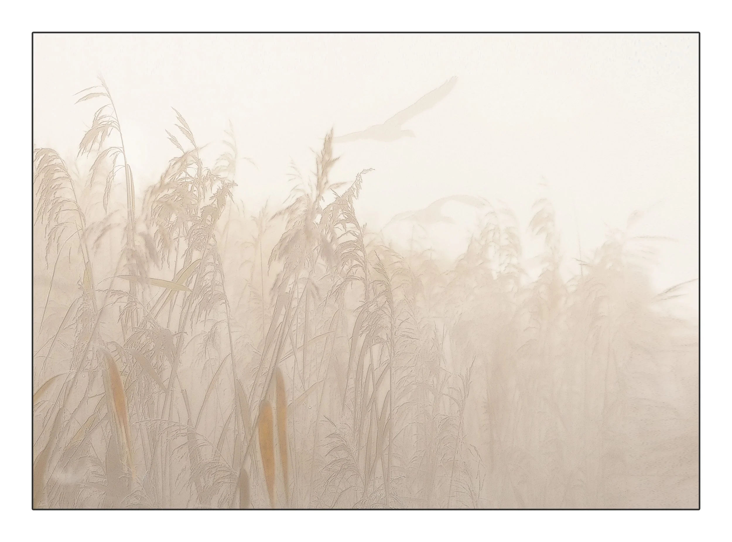 FrameElthe_2017_00093-Edit-2-Edit copy.jpg