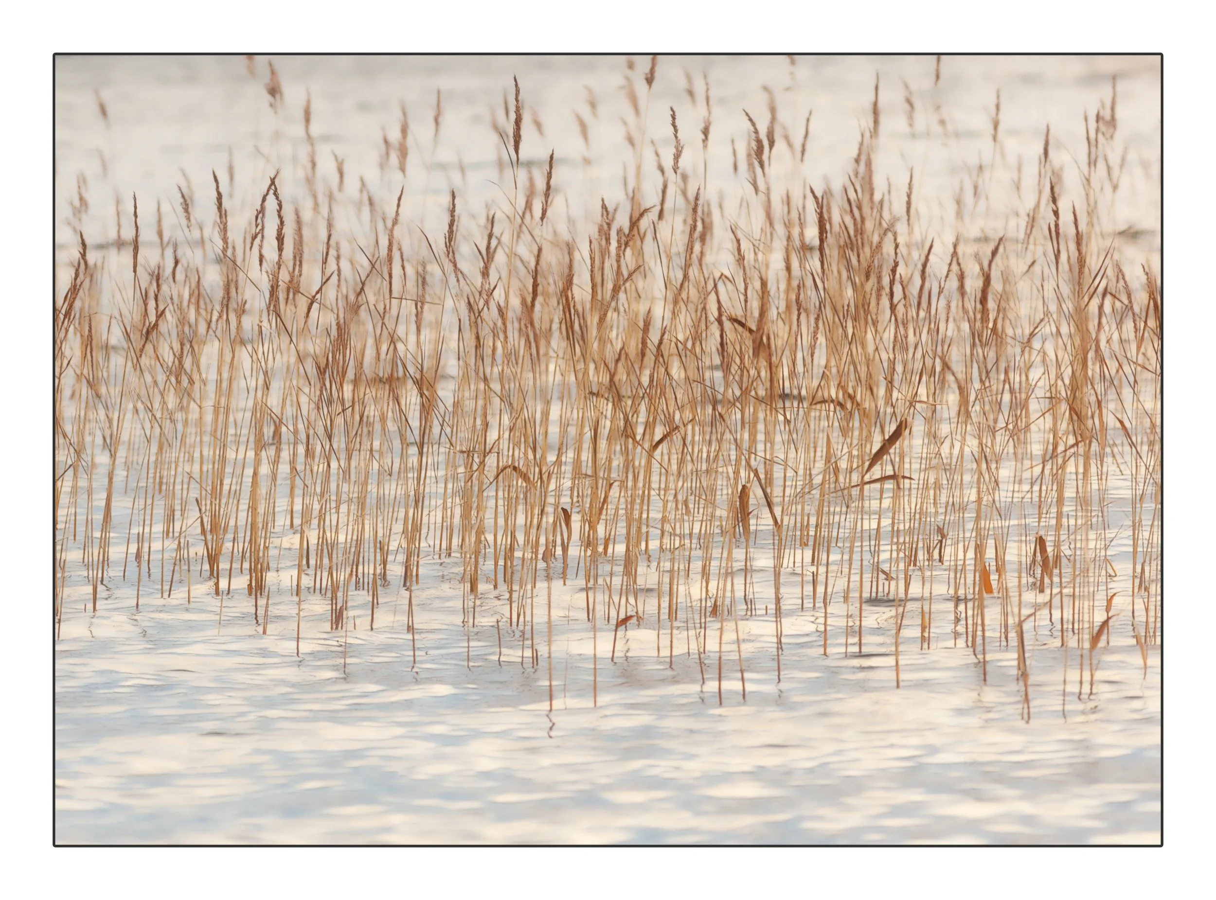 Frameuntitled-2018-2 copy.jpg