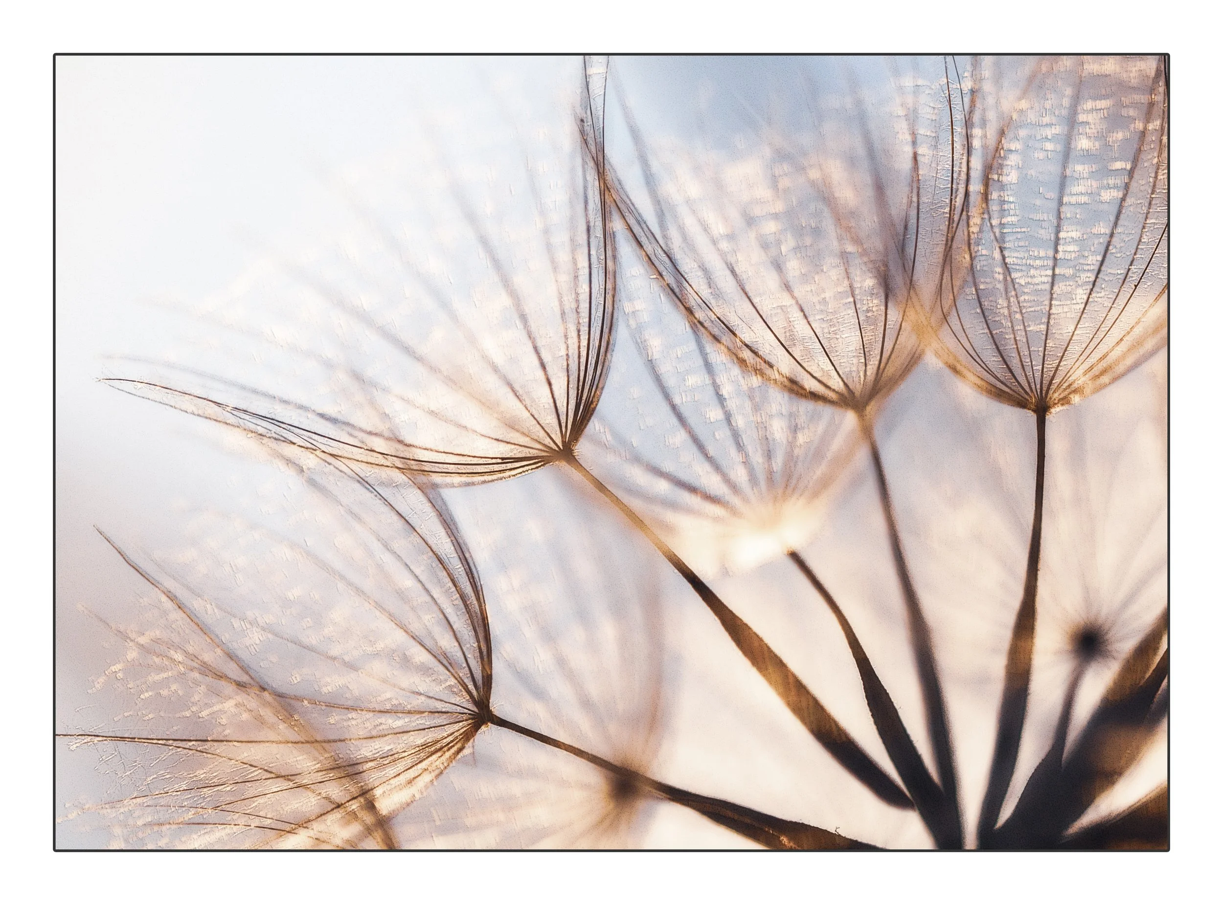 Frameuntitled-2018-5 copy.jpg