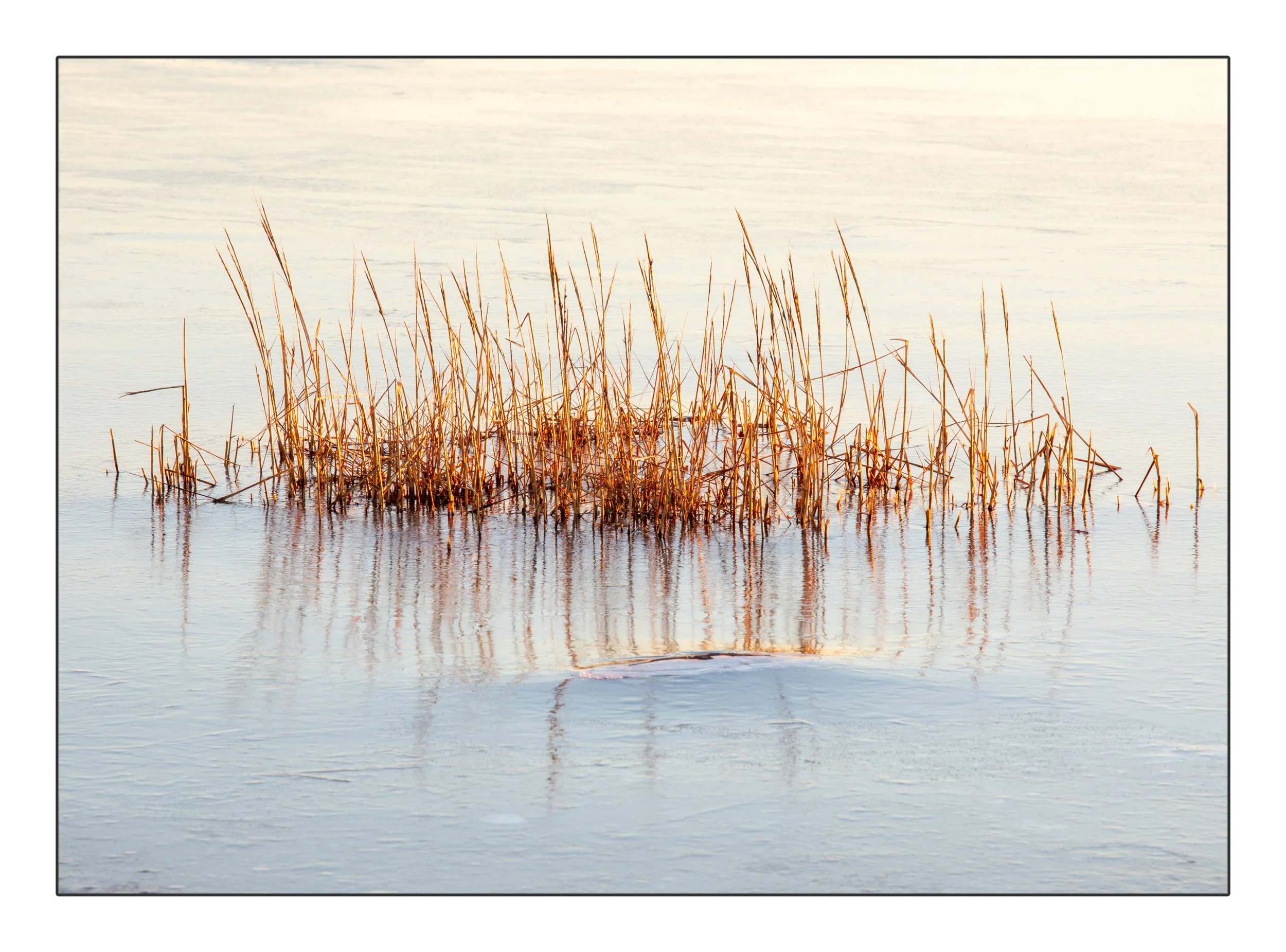 Frameuntitled150February 02, 2019 copy.jpg