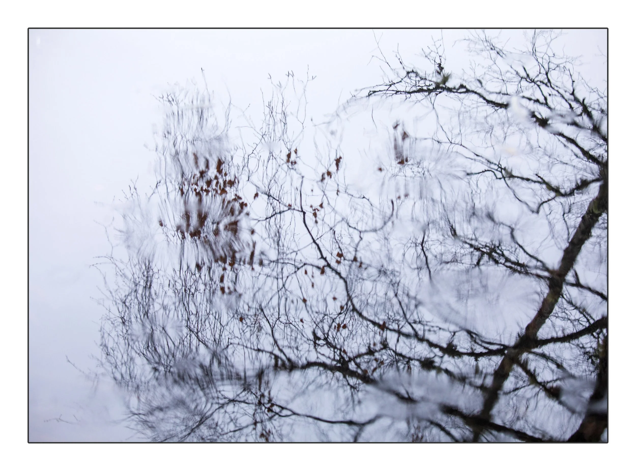 Frameuntitled465January 26, 2019 copy.jpg