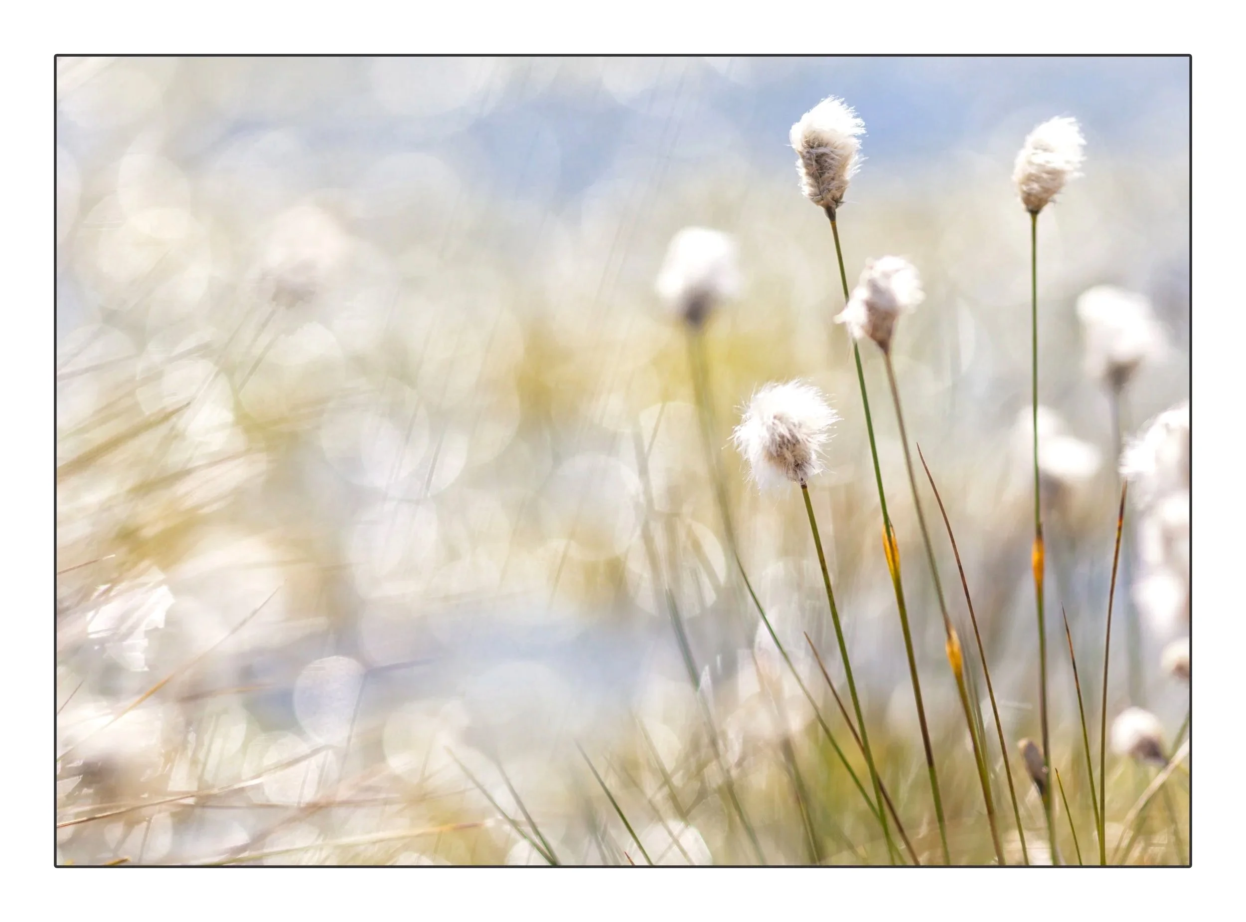 Frameuntitled--6 copy.jpg