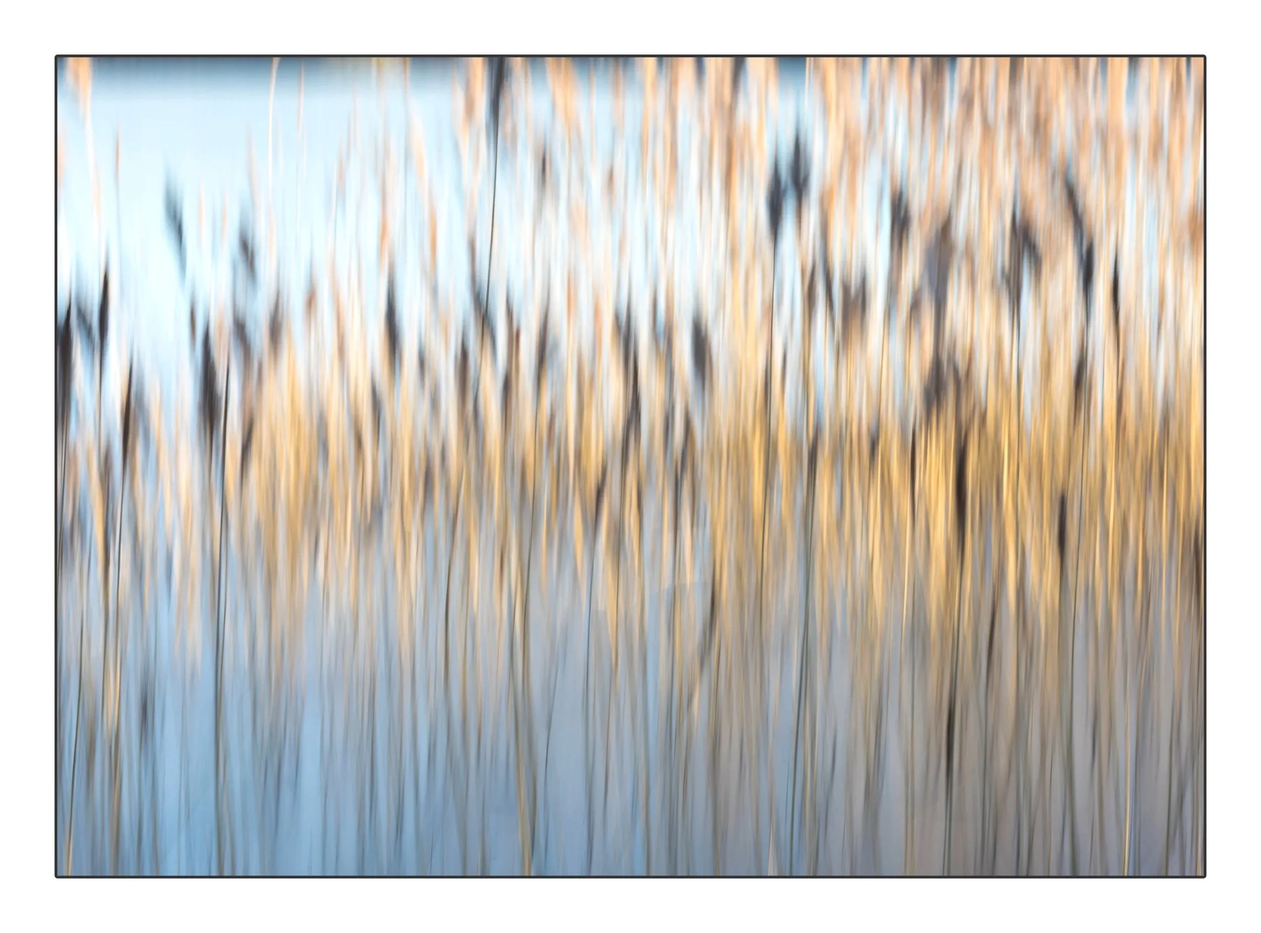 Frameuntitled251January 23, 2019 copy.jpg