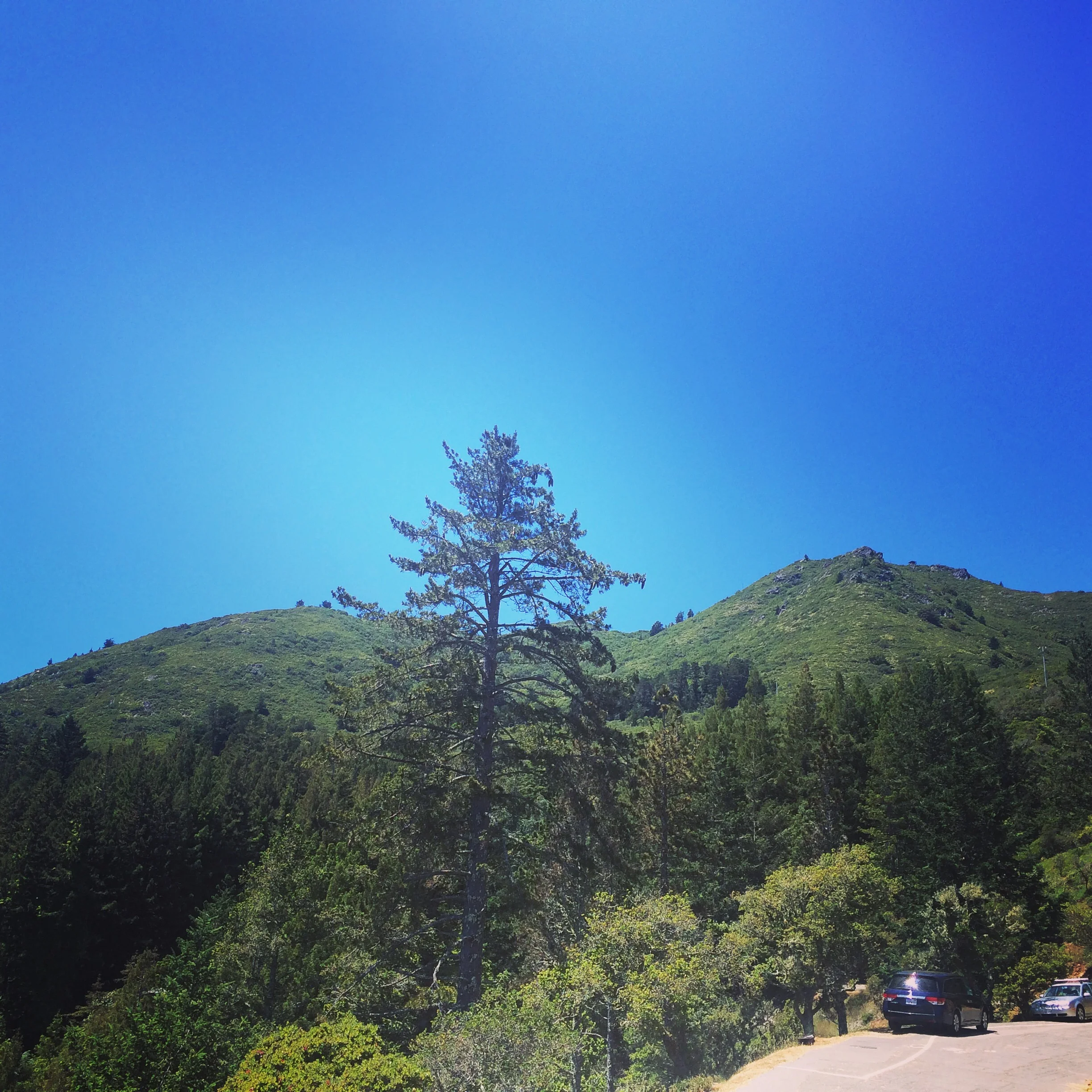 You Can Have the Sky OR You Can Have Your Ideas, but You CAN'T Have Both