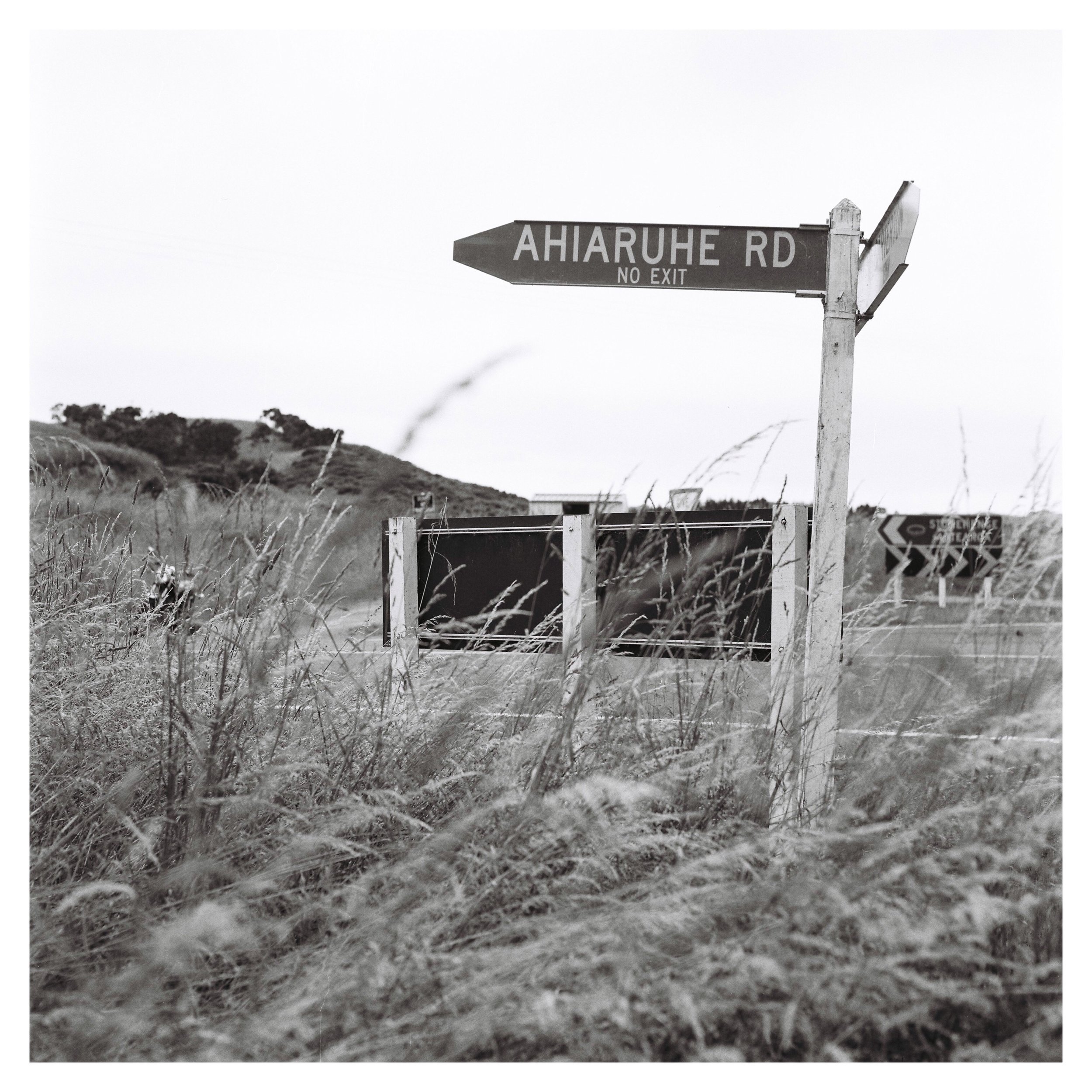 tempImageForSave (19).JPG