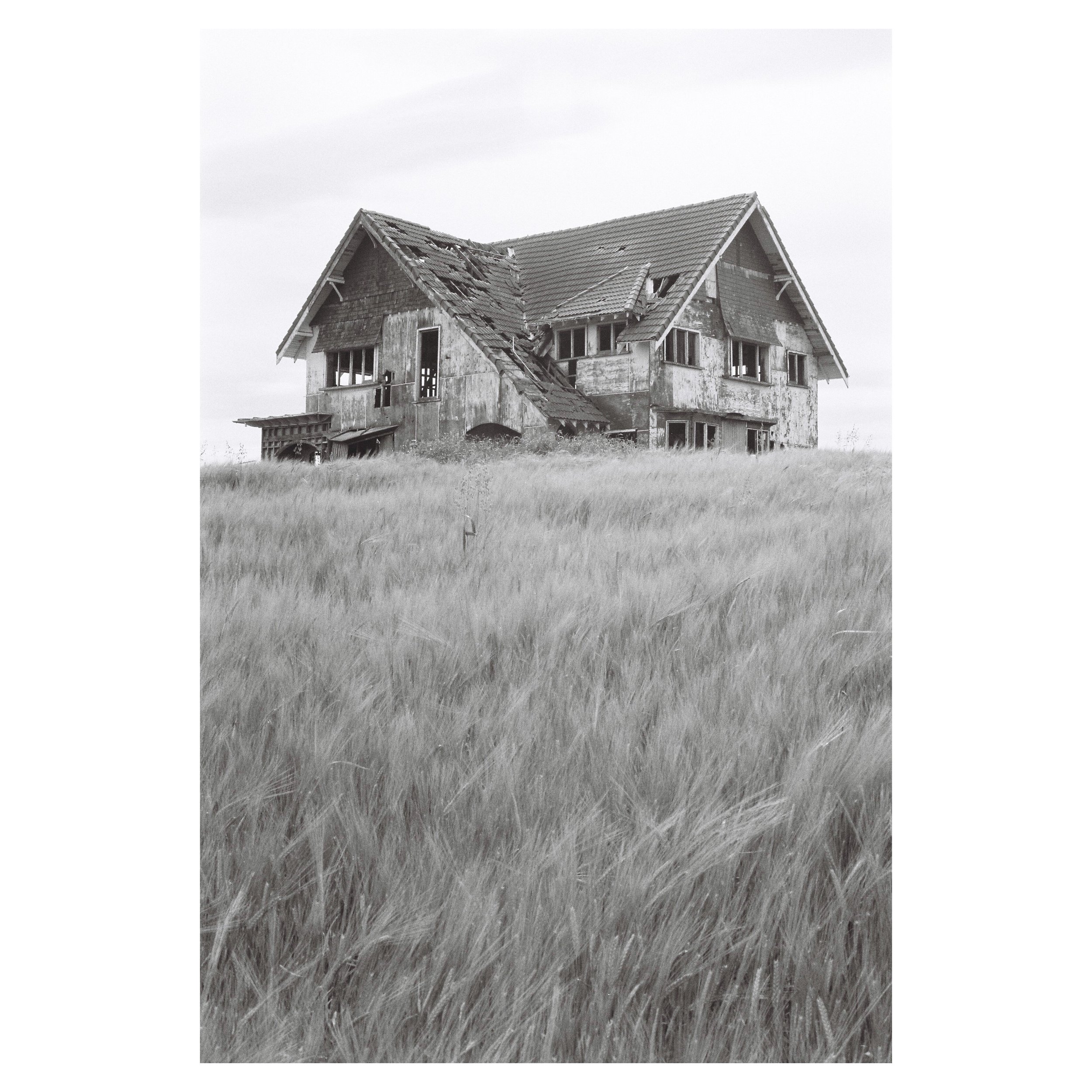 tempImageForSave (1).JPG