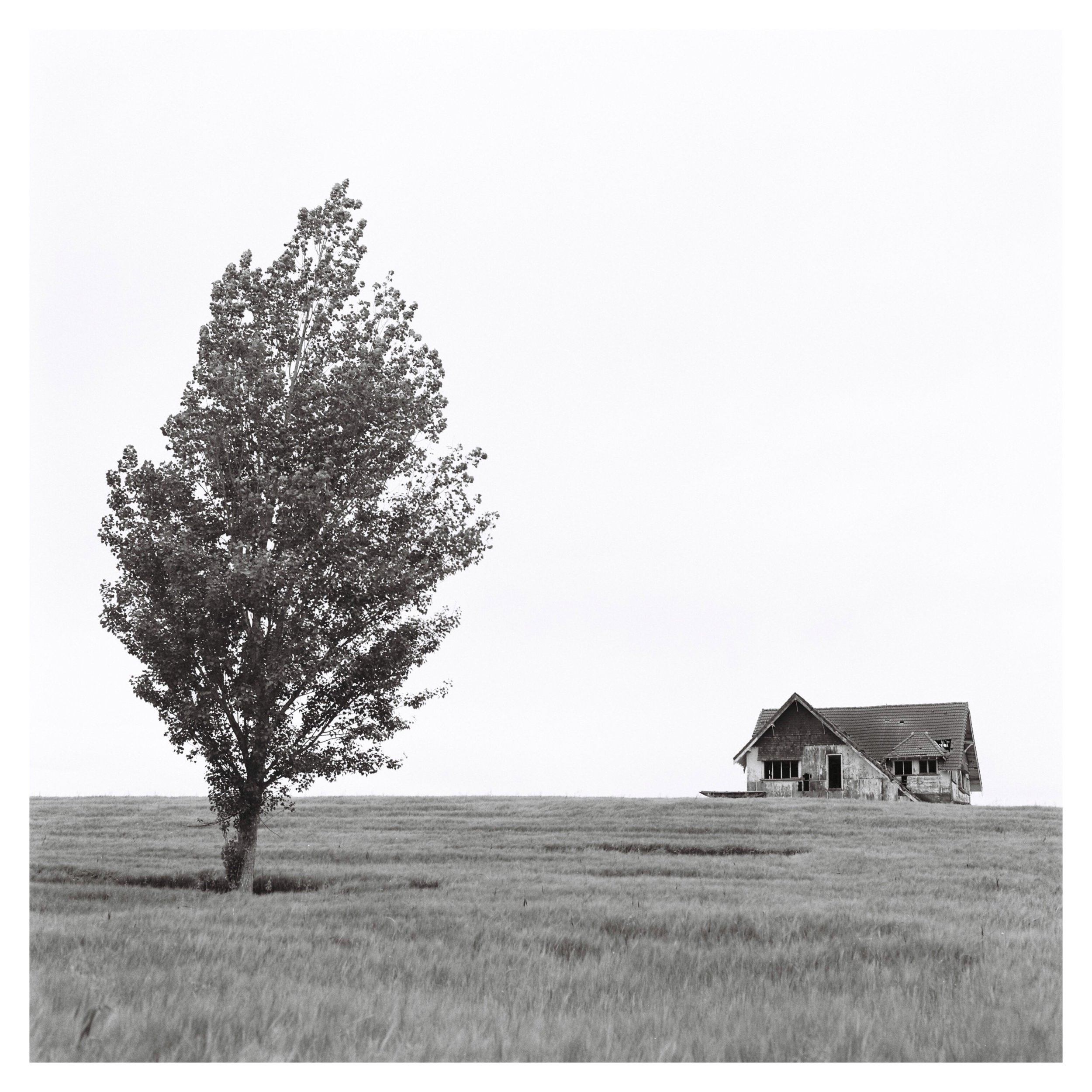 tempImageForSave (3).JPG