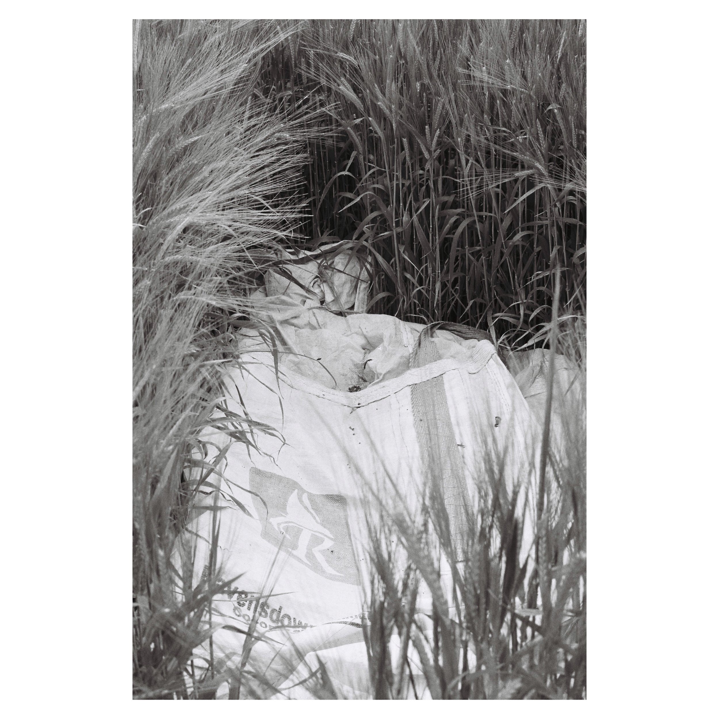 tempImageForSave (4).JPG