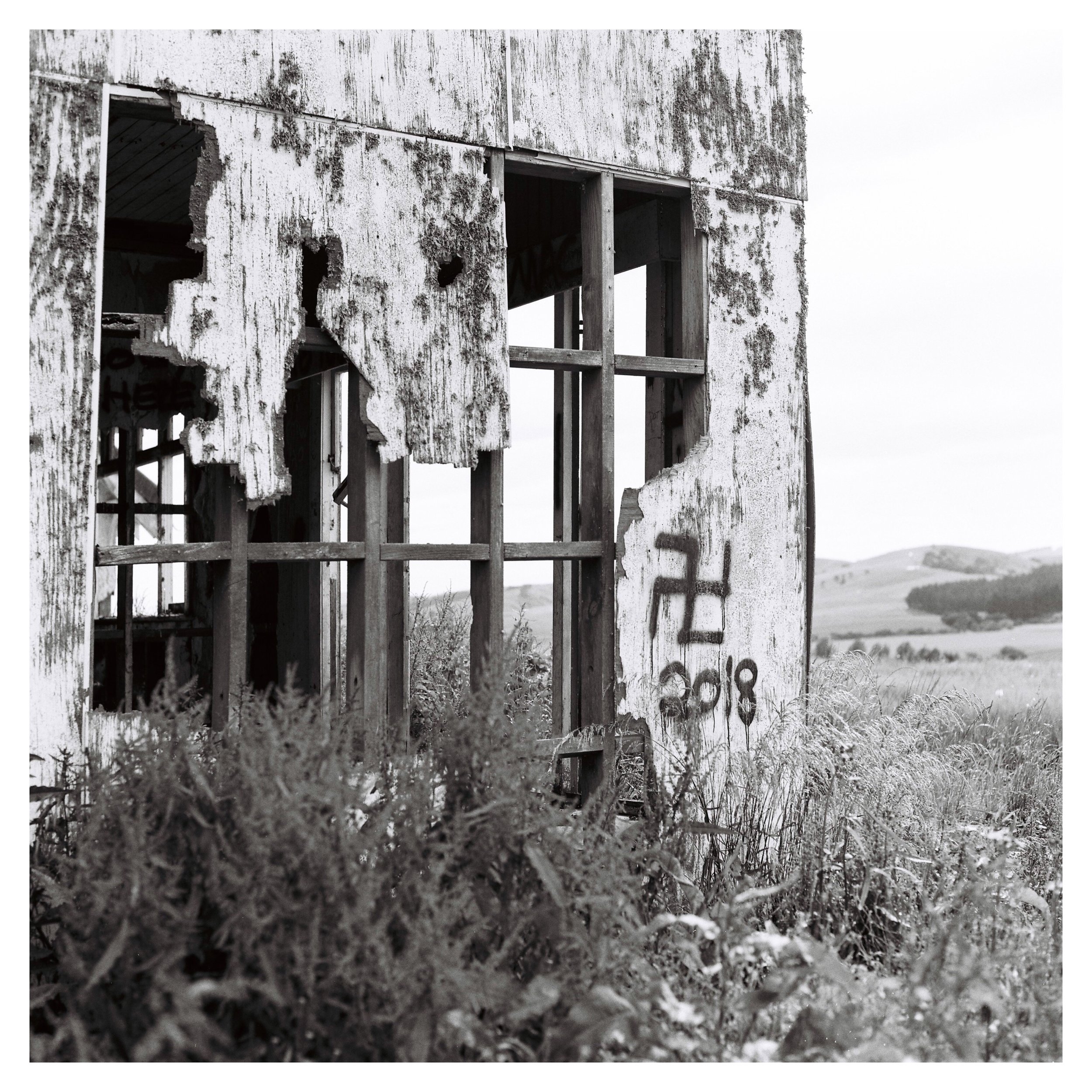 tempImageForSave (10).JPG