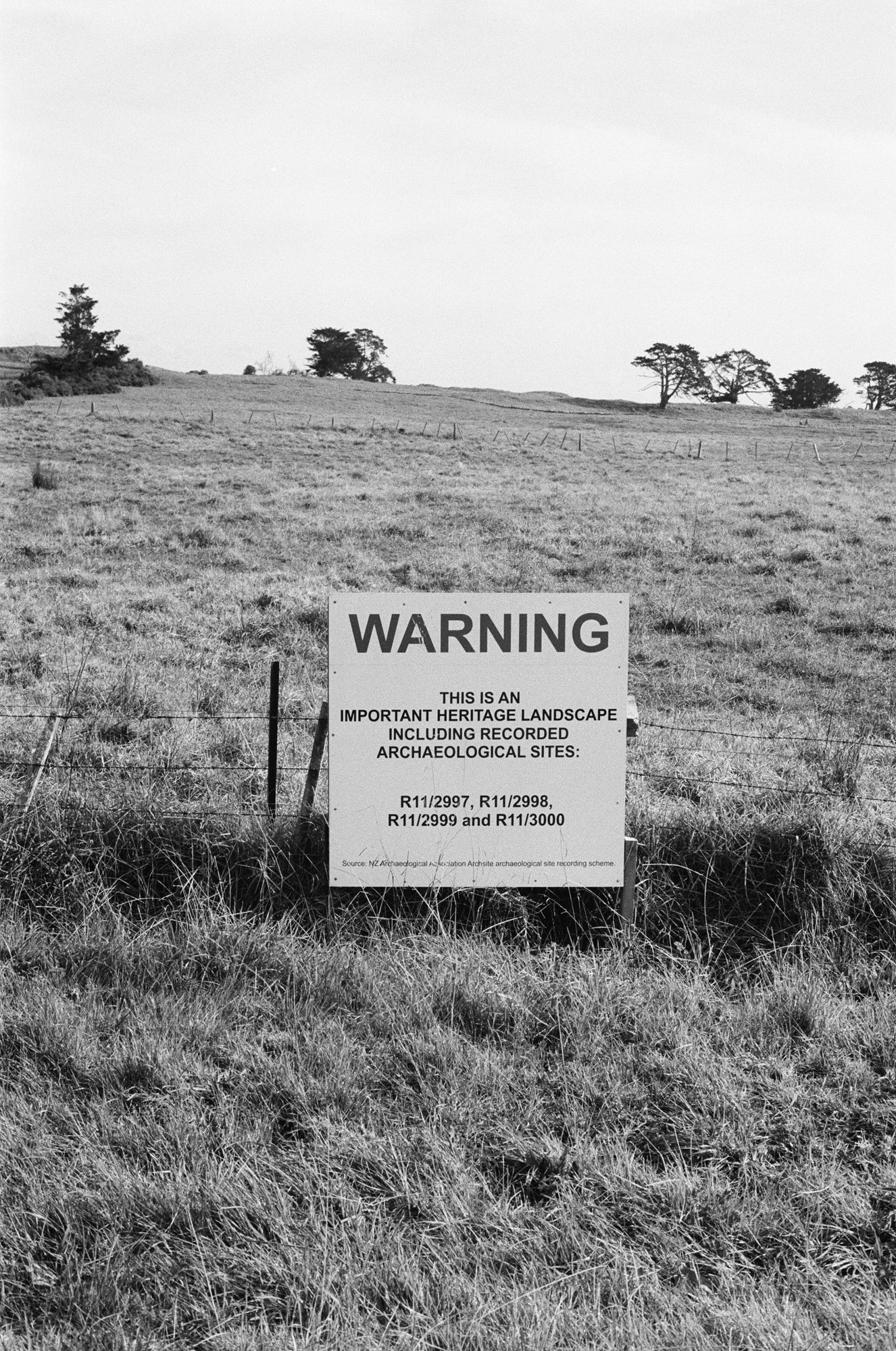 Ihumatao-51.jpg