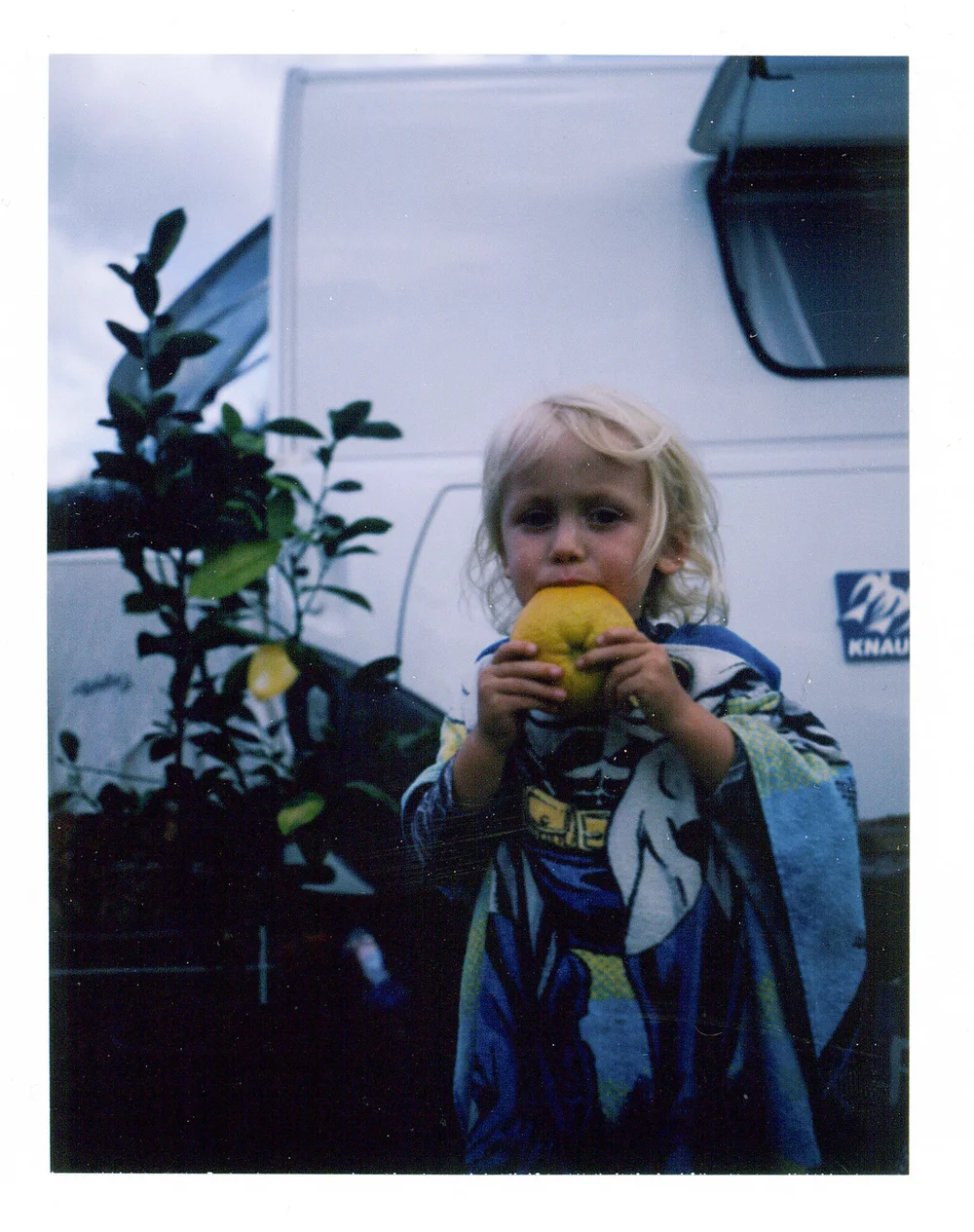 Batman with Lemon