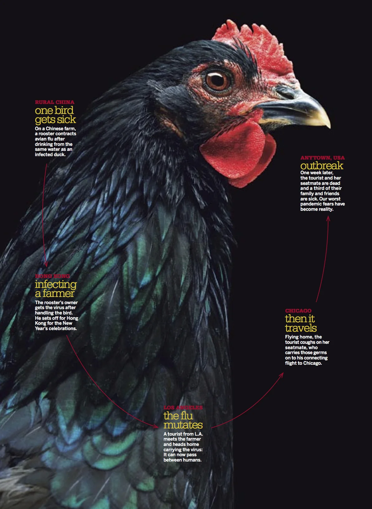 BDIODATO_BIRD.jpg