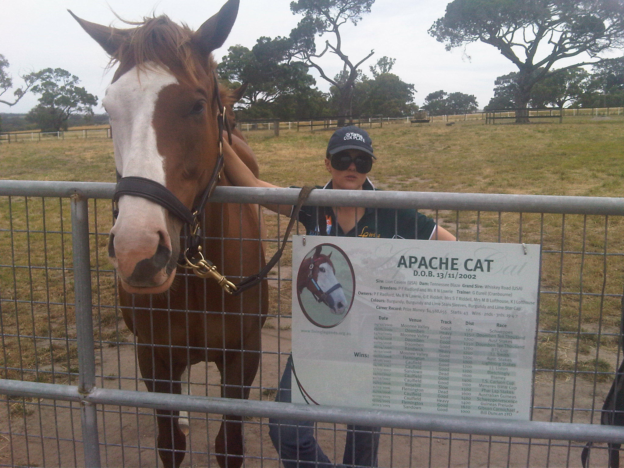 LL Apache Cat AG 2010.jpg
