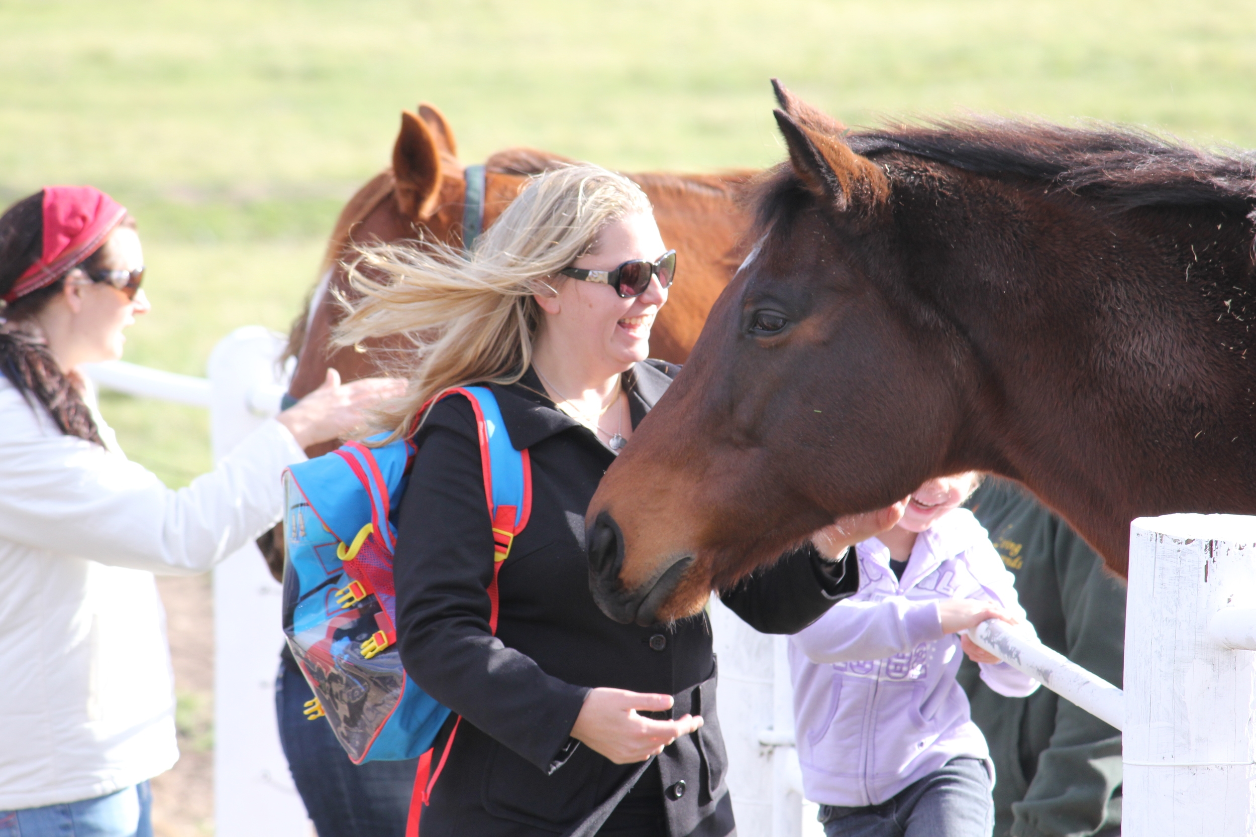 Horses, Wine & Beer Tour
