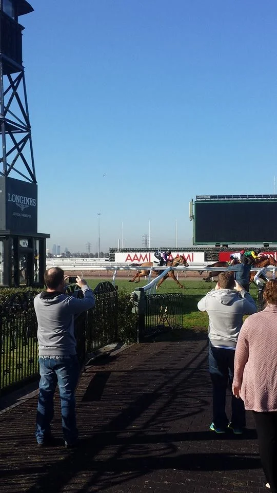Melbourne Sports Tours guest image checking out track work at Flemington