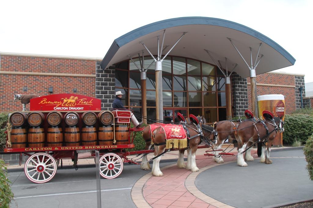 CUB Clydesdales.jpg