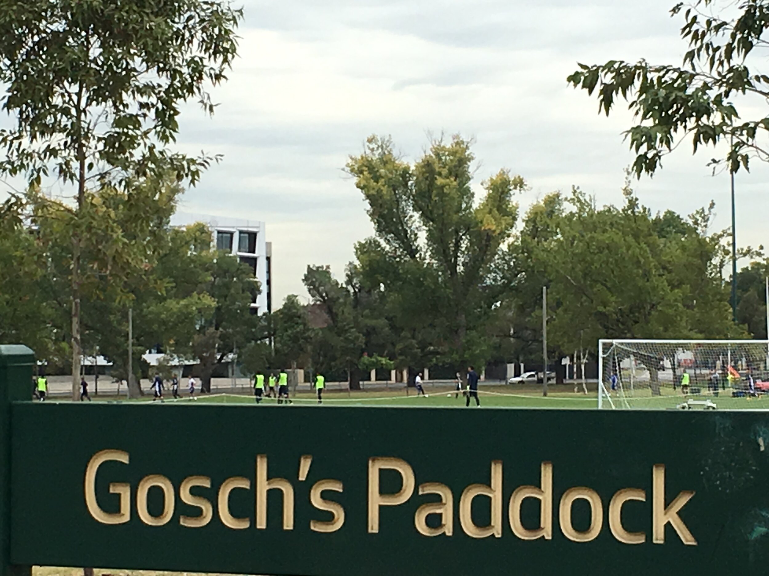 Melbourne Victory training at Gosch's Paddock.JPG