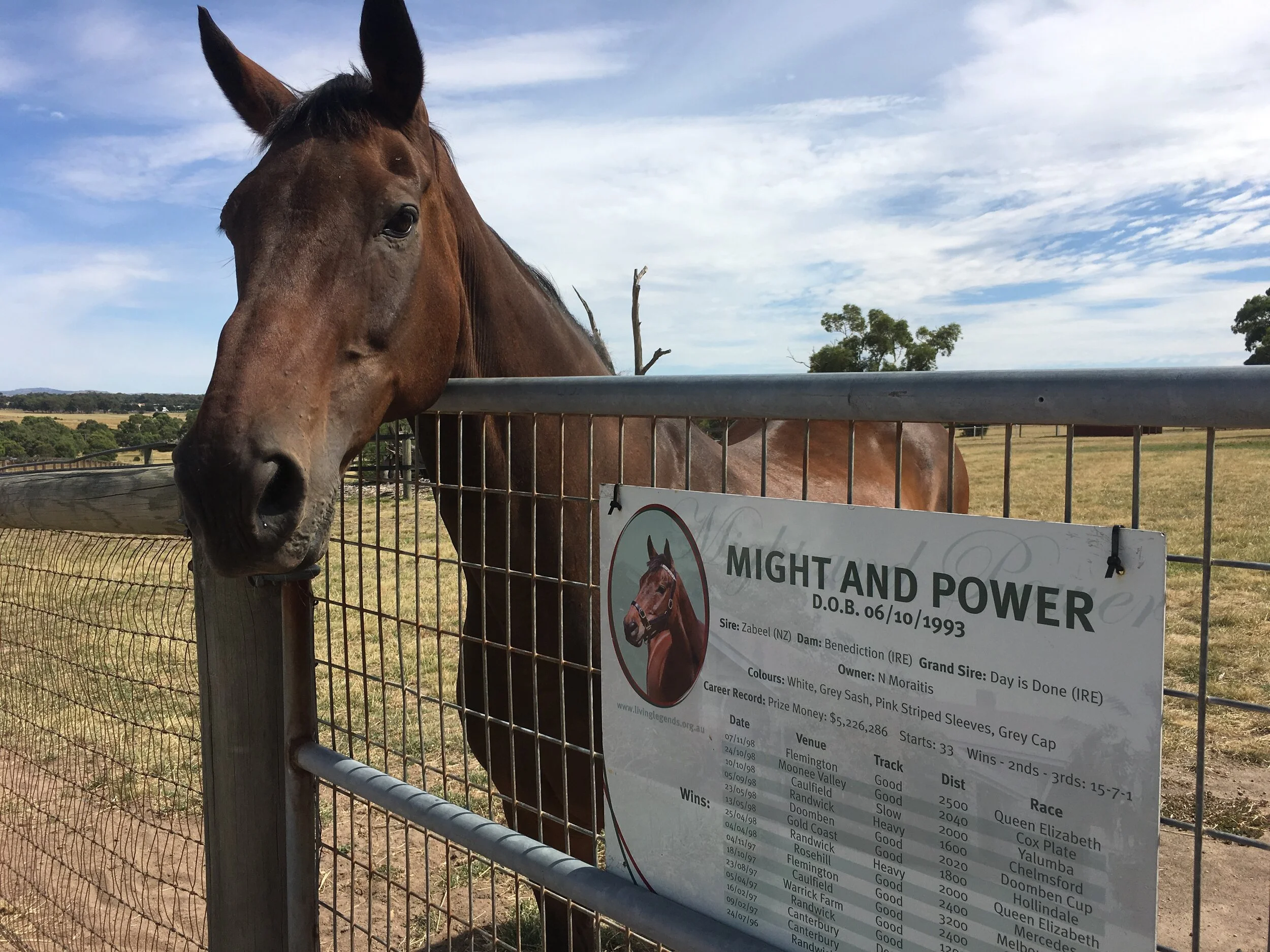 The Champions of Flemington Racecourse Part 6 – 1990’s