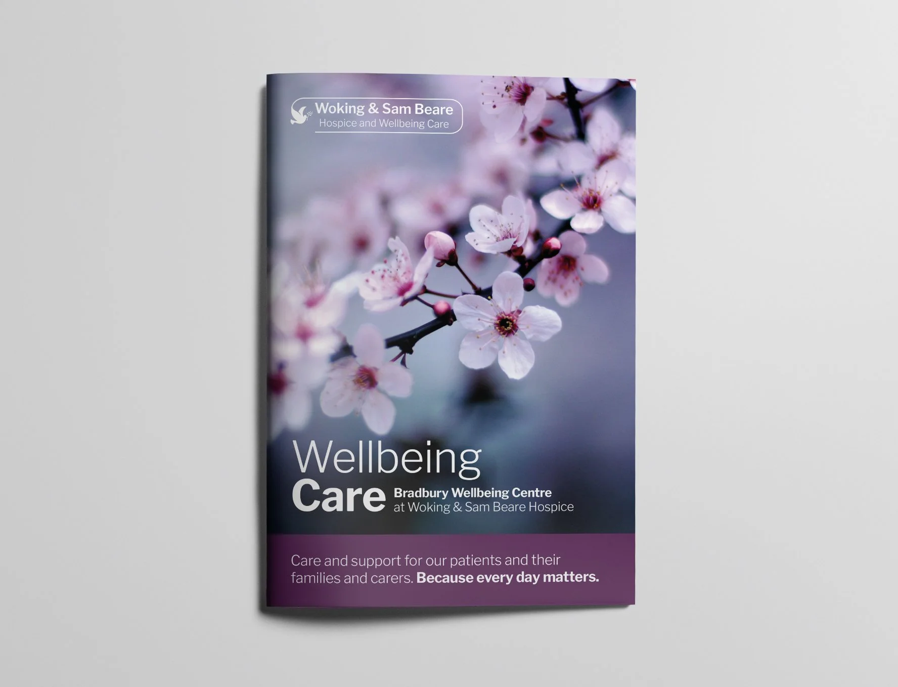Wellbeing cover.jpg