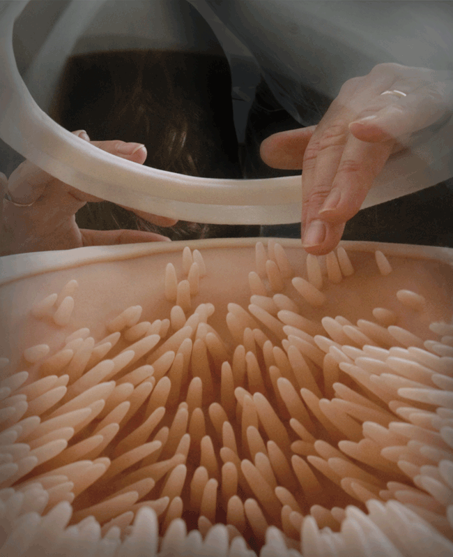 Shy contact with the artificial tissue interface for their newborn.