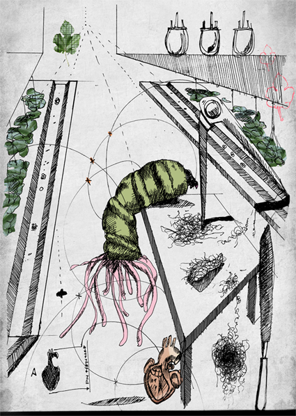 Biophilia_VeronicaRanner_Illustration1.png