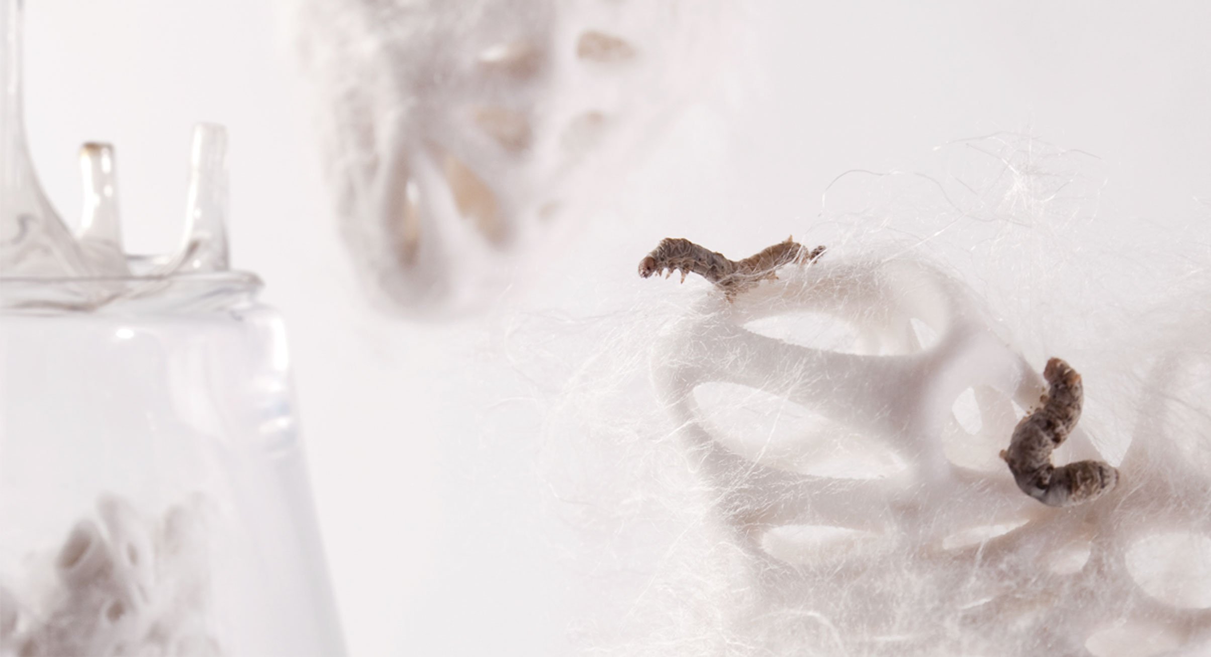 03_Biophilia_Silkworms_Veronica-Ranner_forweb.jpg