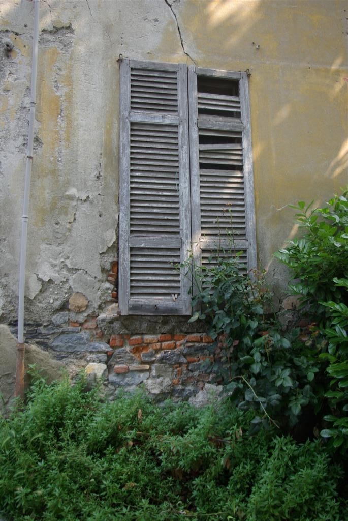 Rustic Windows