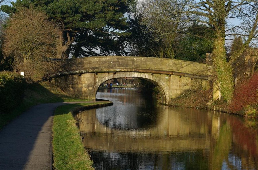 Bridge and Reflection