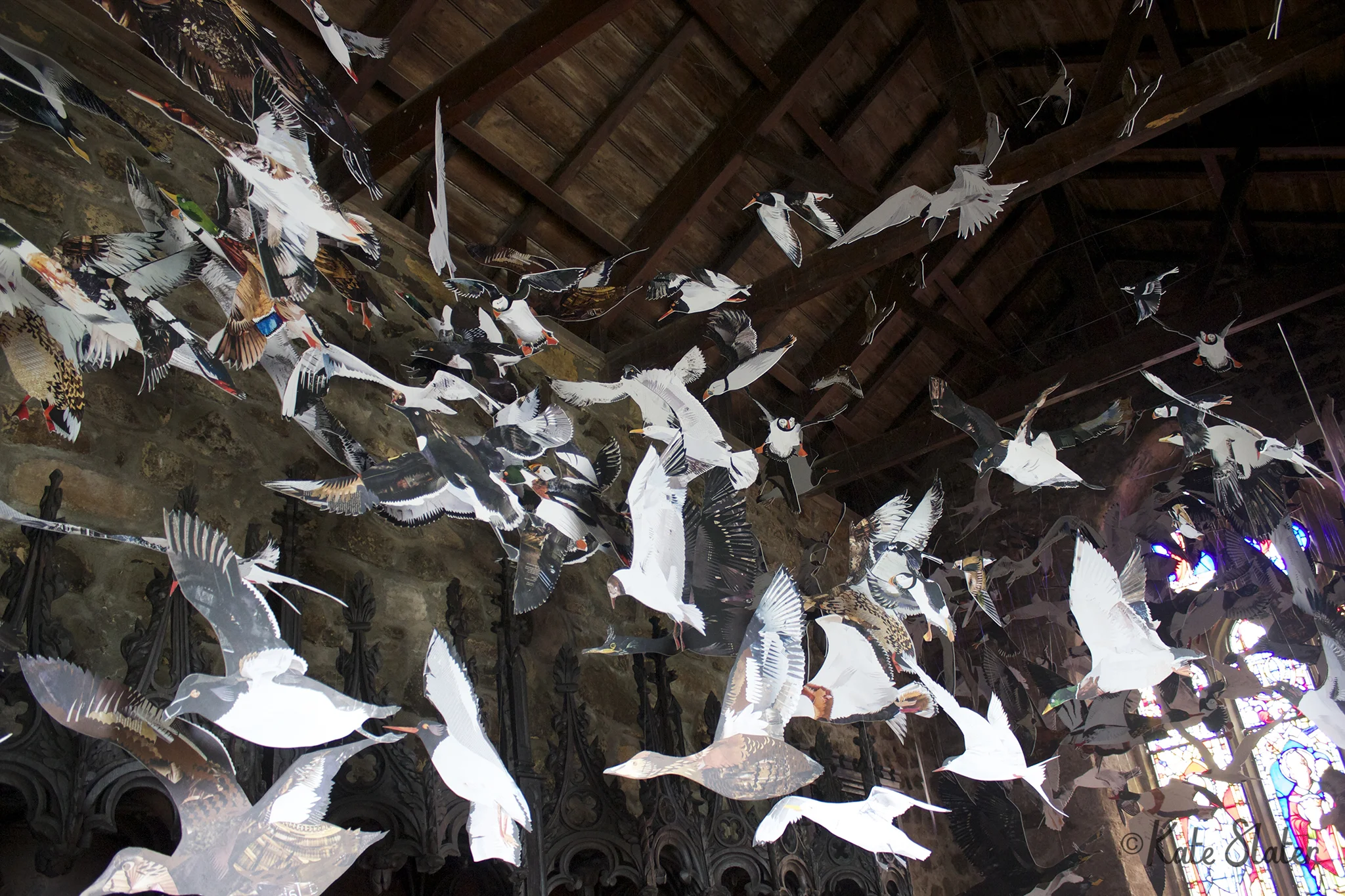 The Farnes Flock - The National Trust