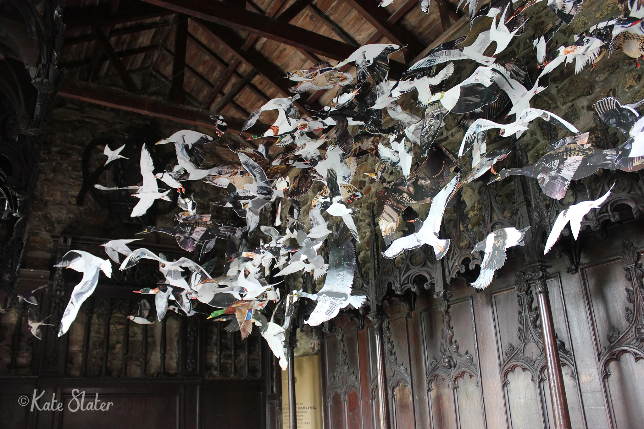 The Farnes Flock - The National Trust
