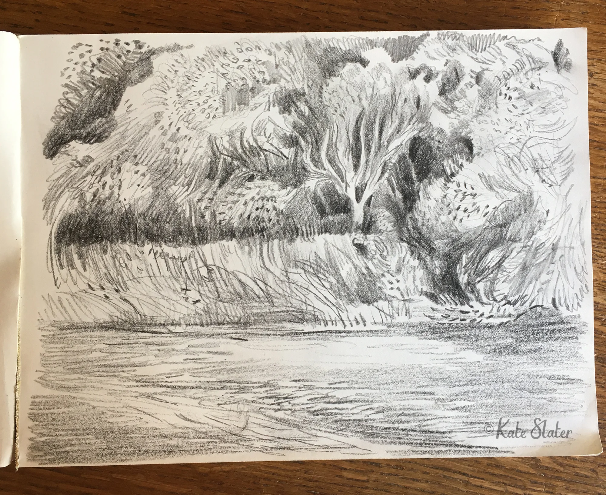 River Trent 1