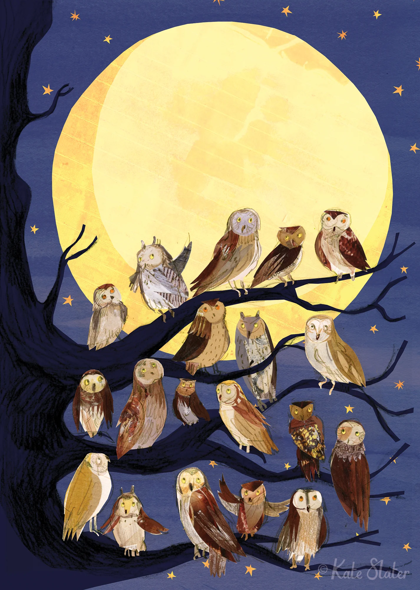 The Long Dark Night of the Owl - RSPB Wild Times Magazine