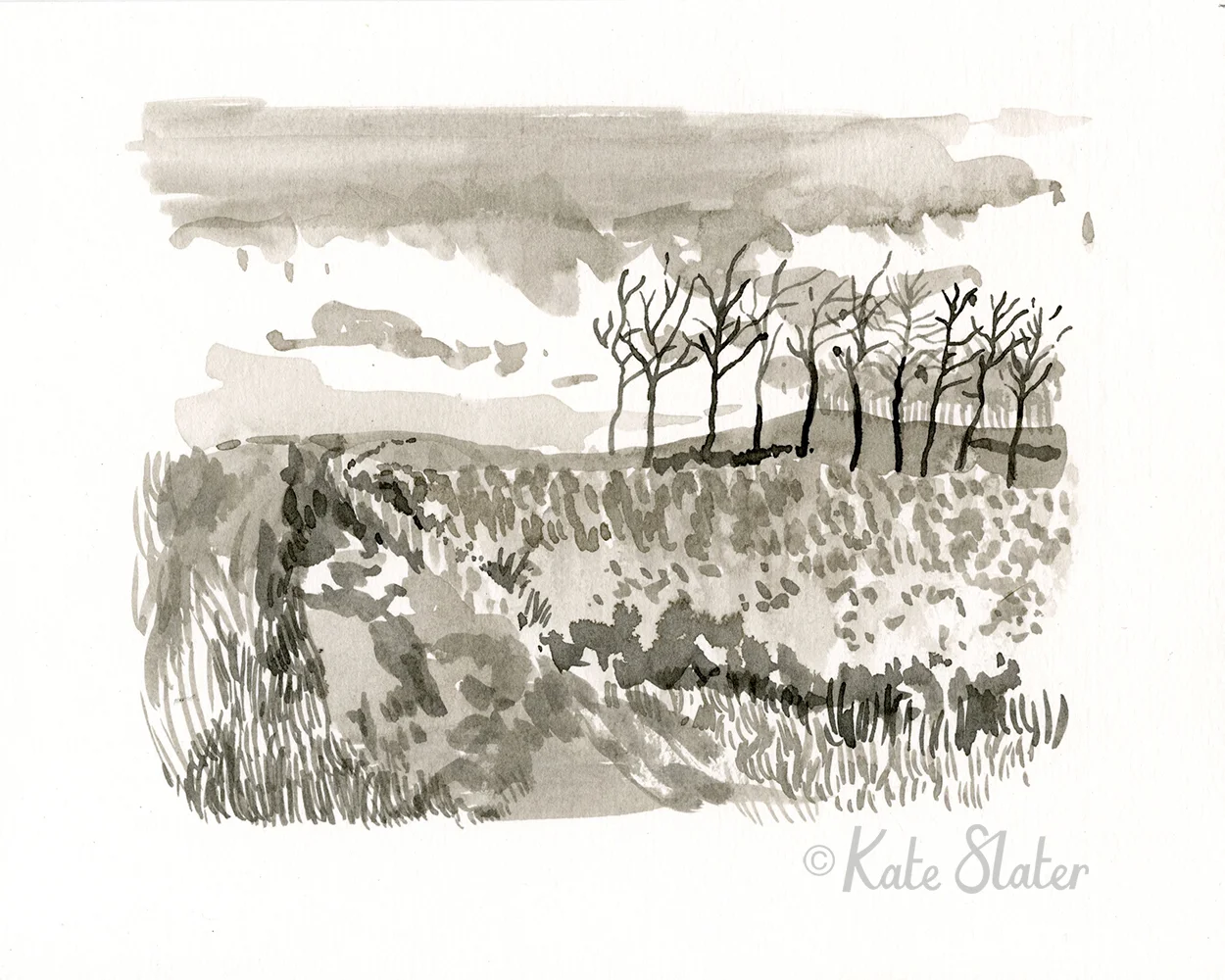 Day41©KateSlater.jpg