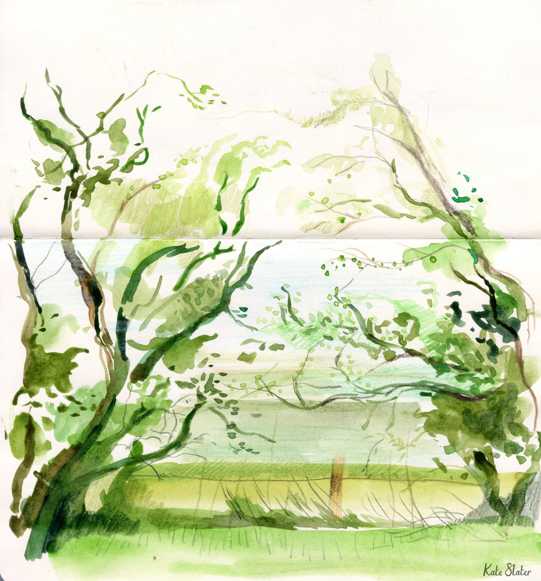 Sketchbook fields.jpeg